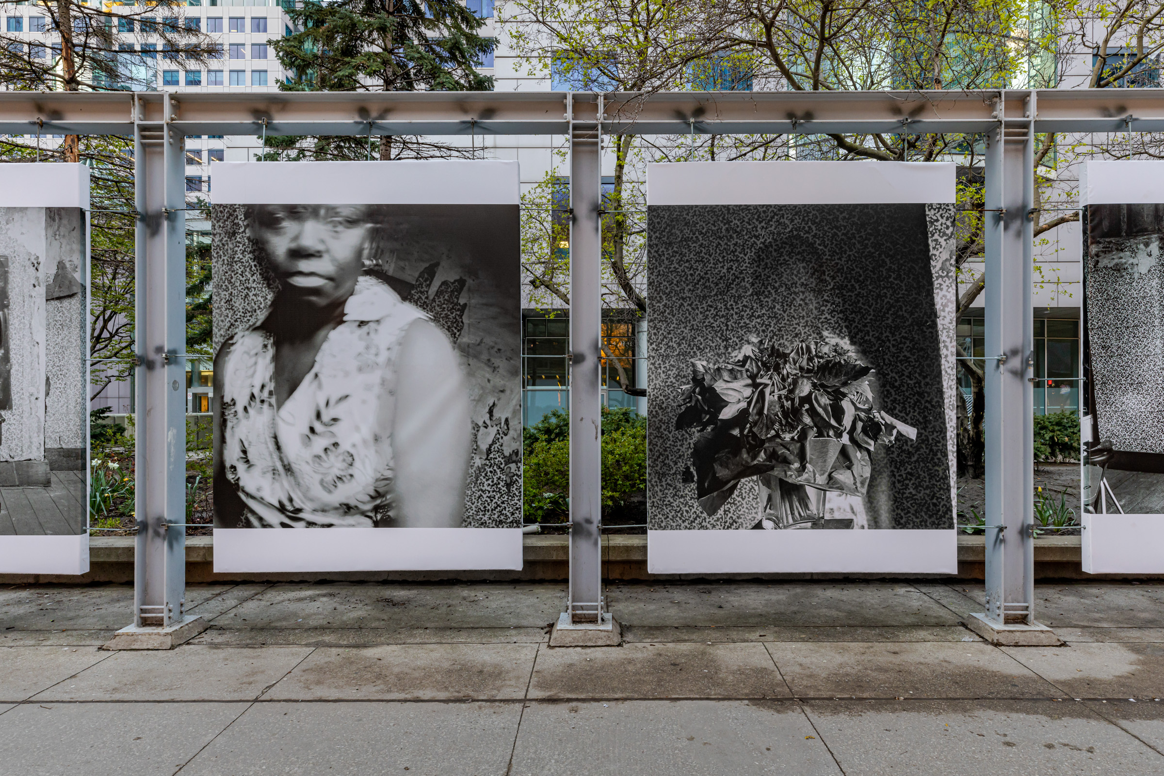     Hélène Amouzou, Writing Without Words: The Autoportraits of Hélène Amouzou, installation view, Metro Hall along King St W, Toronto, 2023. Courtesy of the artist and CONTACT. Photo: Toni Hafkenscheid

