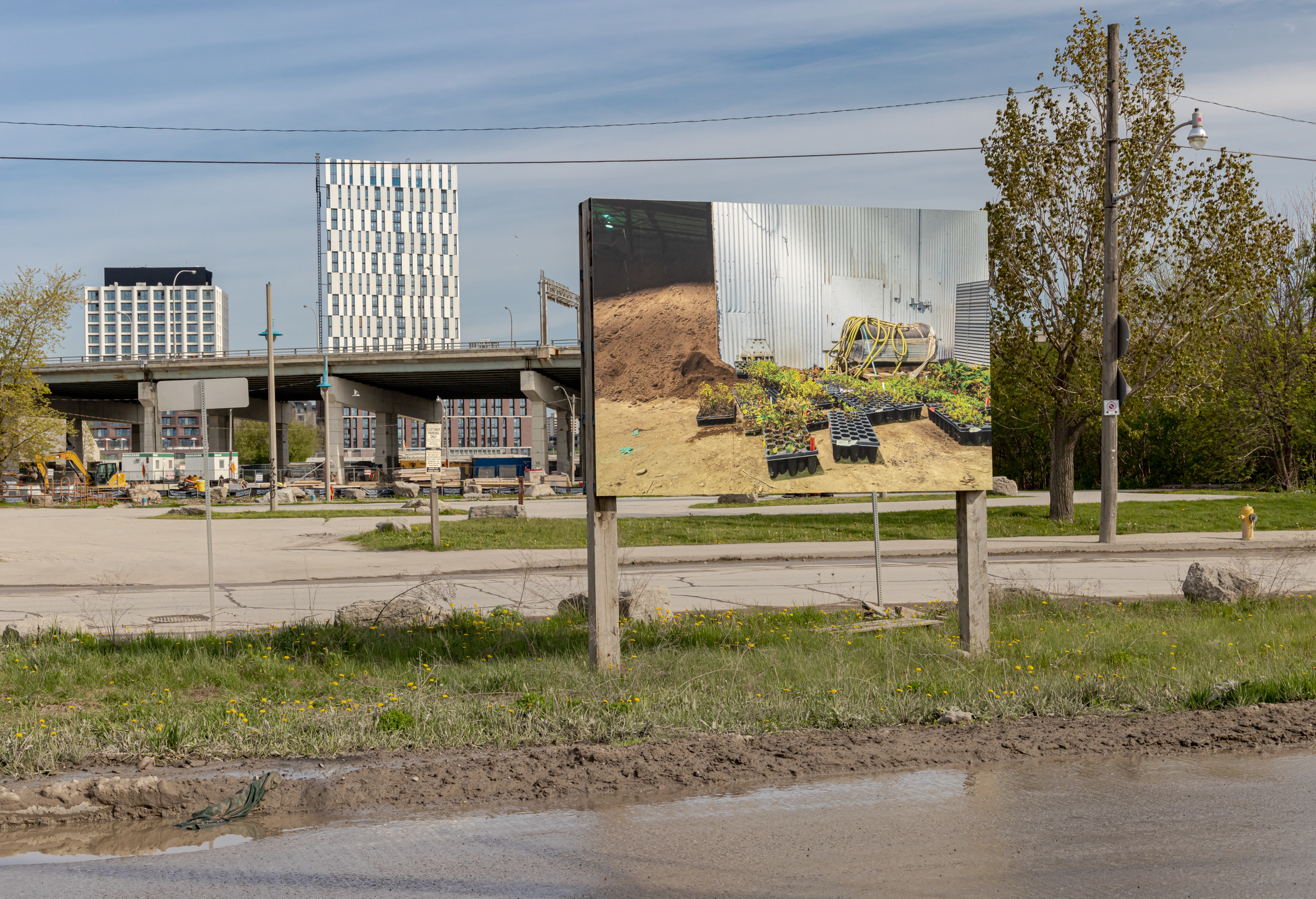     Vid Ingelevics & Ryan Walker, Greenwork, installation view, Port Lands, Toronto, 2023. Courtesy of the artists and Scotiabank CONTACT Photography Festival. Photo: Toni Hafkenscheid

