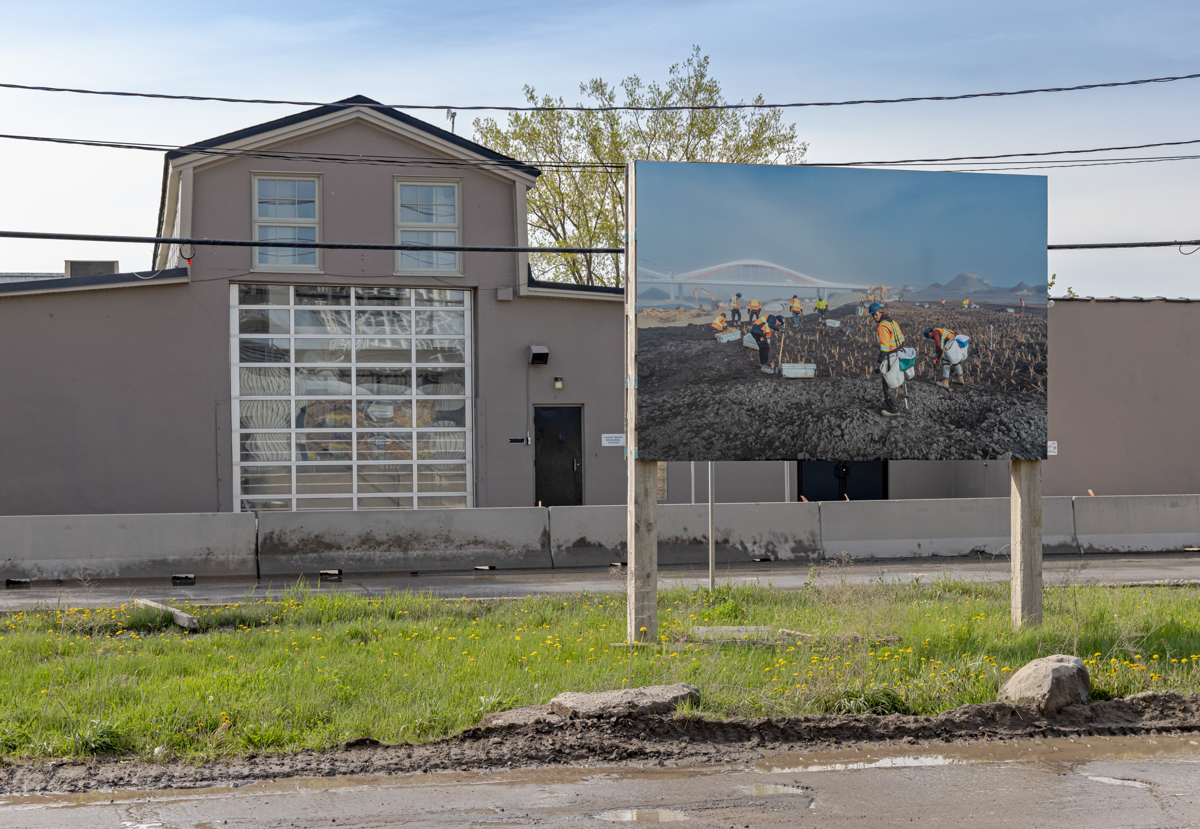     Vid Ingelevics & Ryan Walker, Greenwork, installation view, Port Lands, Toronto, 2023. Courtesy of the artists and Scotiabank CONTACT Photography Festival. Photo: Toni Hafkenscheid

