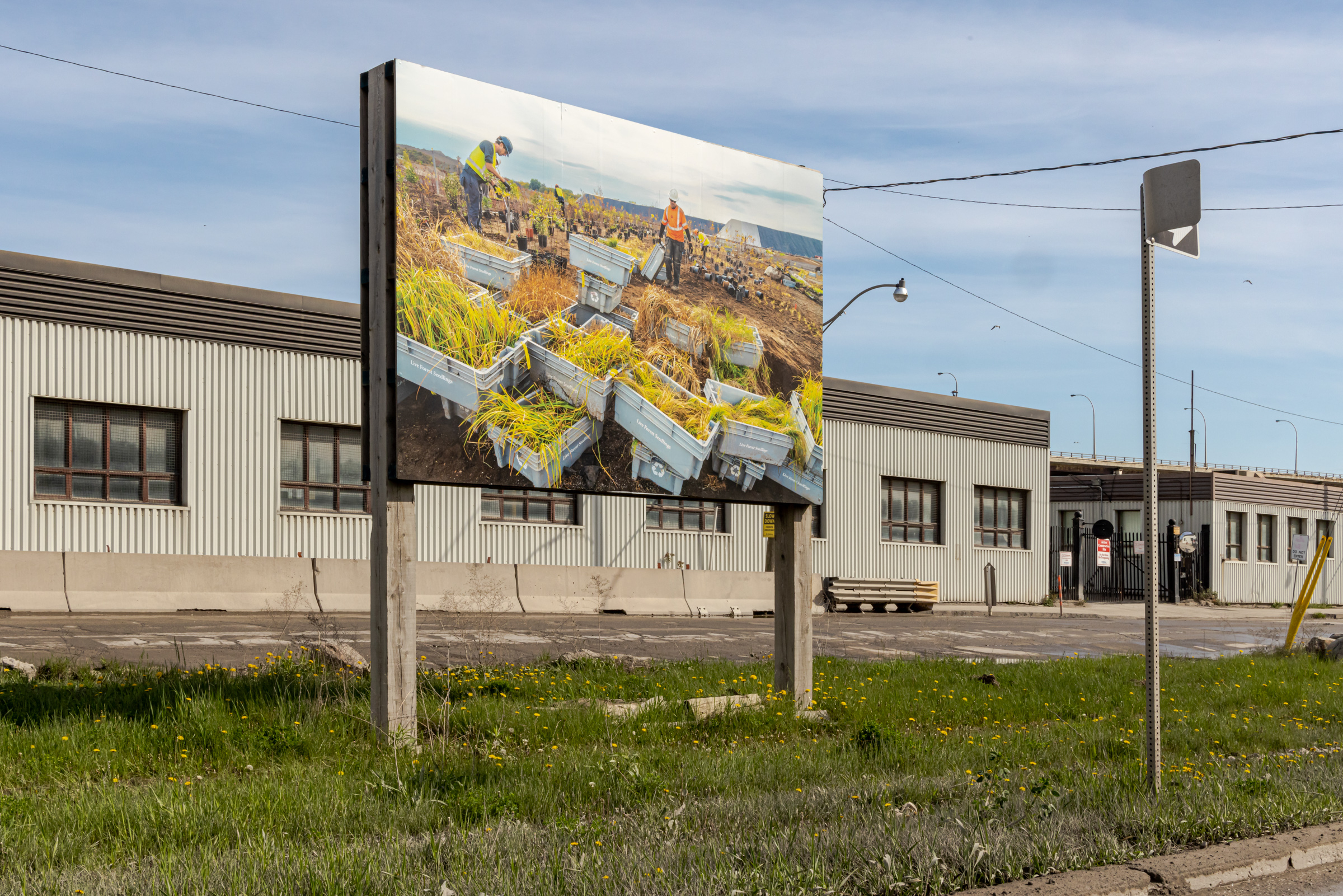     Vid Ingelevics & Ryan Walker, Greenwork, installation view, Port Lands, Toronto, 2023. Courtesy of the artists and Scotiabank CONTACT Photography Festival. Photo: Toni Hafkenscheid

