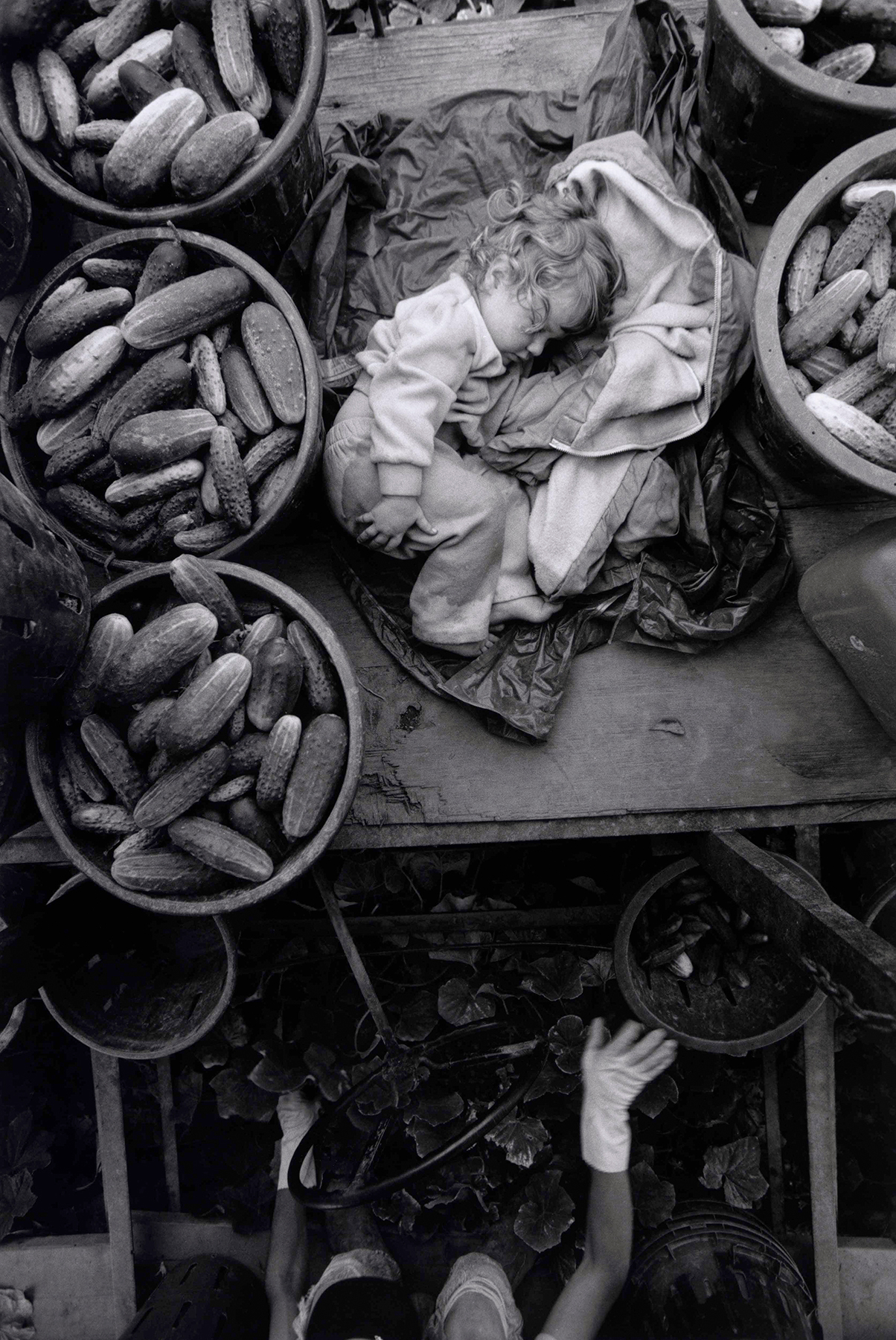     Larry Towell, CANADA, Ontario, Kent County, Mennonite, 1996. Copyright the artist

