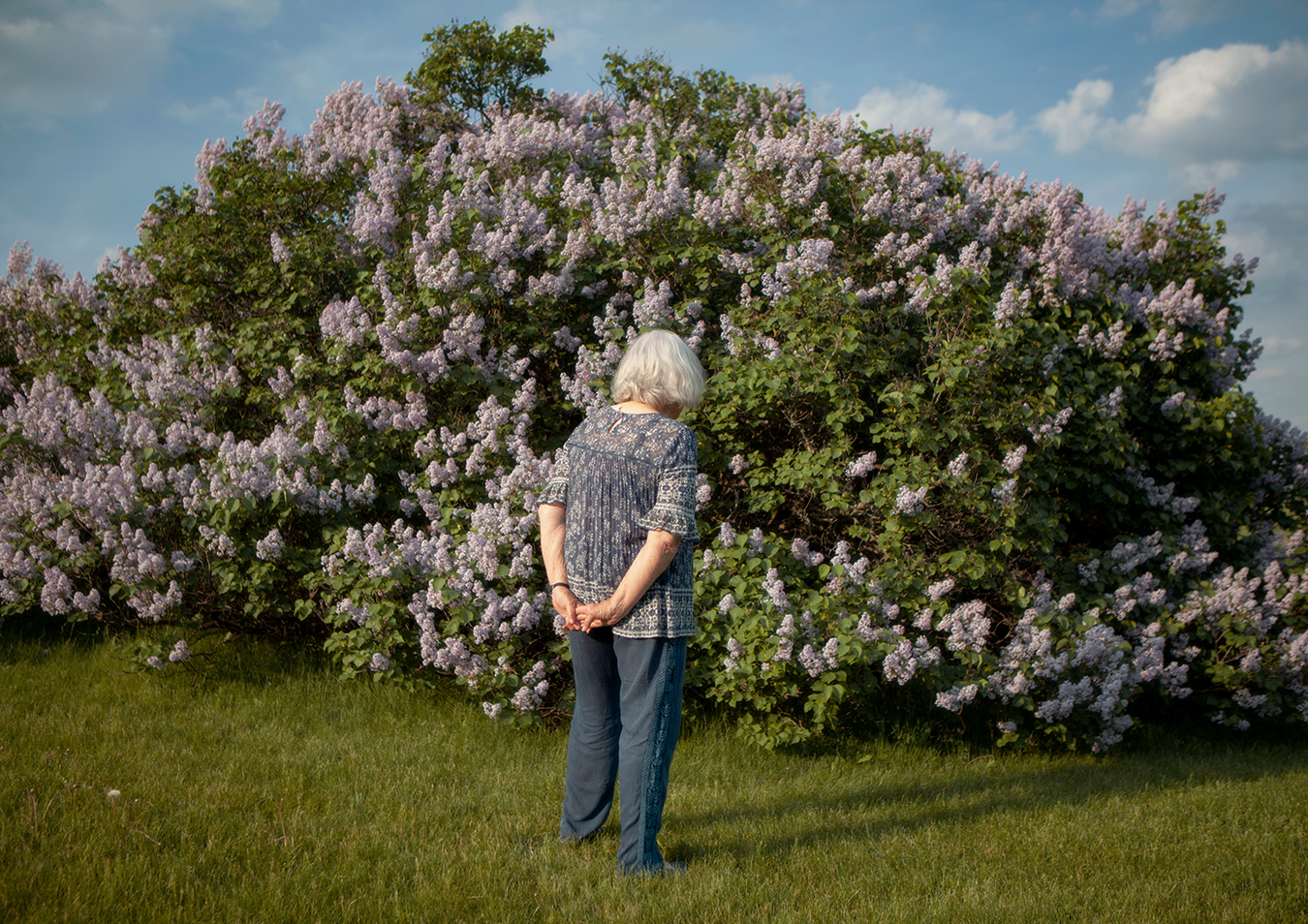     Angela Lewis, Woman and the Hydrangea Bush, 2022

