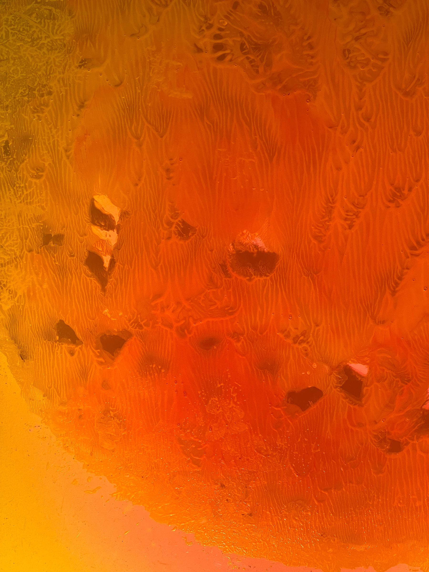     Elaine Whittaker, Sunspot 3544 (detail 2), 2024

