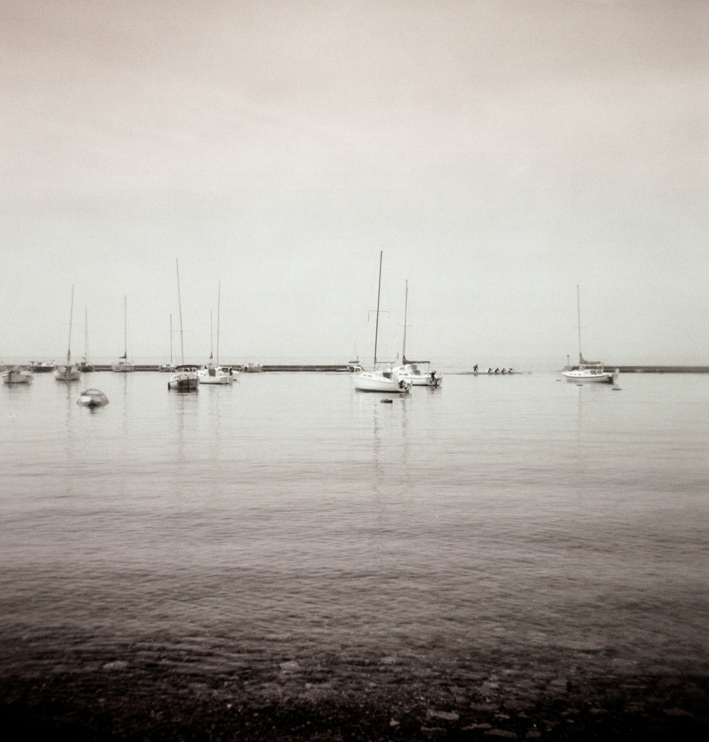     Nancy Bueler, Sail Boats, 2018

