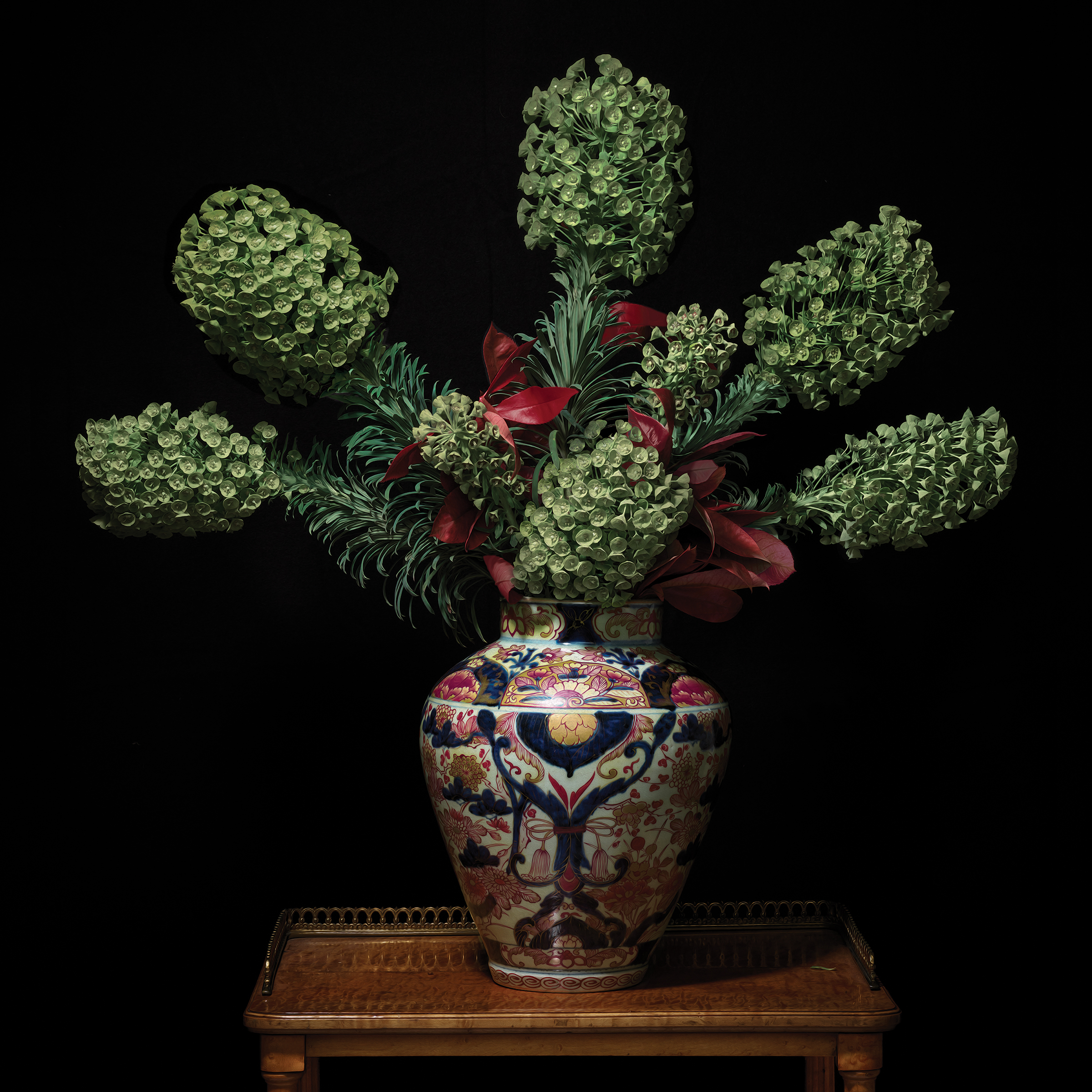     T.M. Glass, Euphorbia in a Japanese Imari Vessel, from the Royal Lodge series, 2018. Courtesy of the artist.

