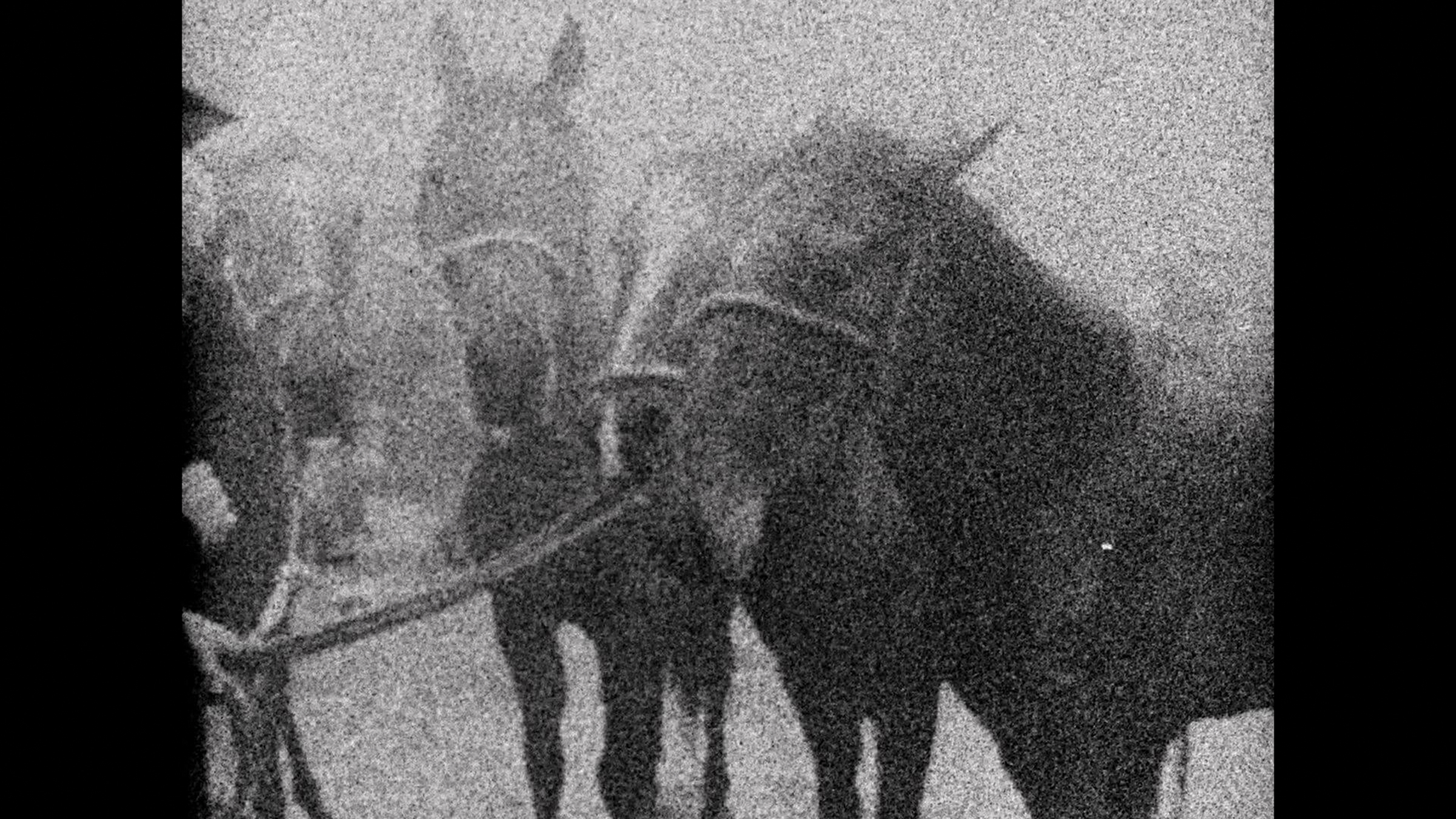     Mike Hoolboom, Three Dreams of Horses, 2018. Video still. Courtesy of the artist.

