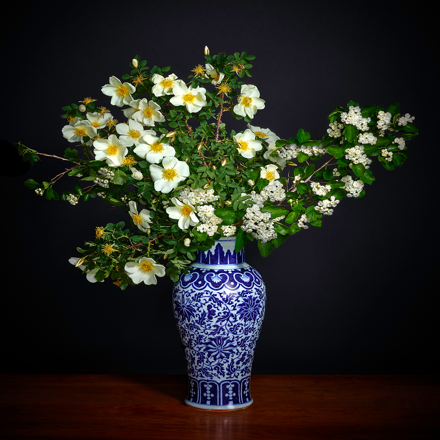     T.M. Glass, White Hawthorne White Shrub Rose in a Blue and White Chinese Vase, 2018

