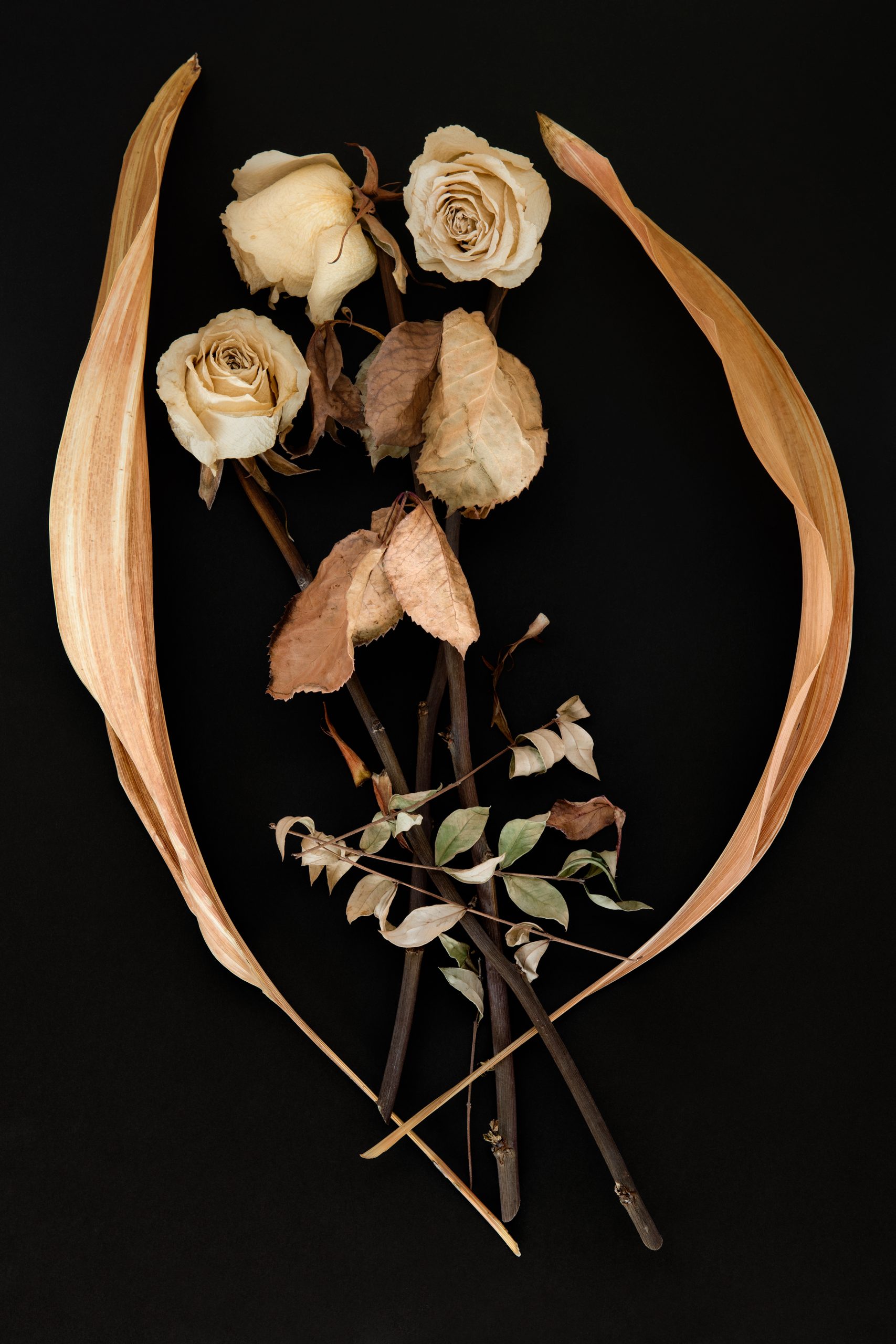     Joyce Crago, Playing Dead, Roses, 2019. Courtesy of the
artist.

