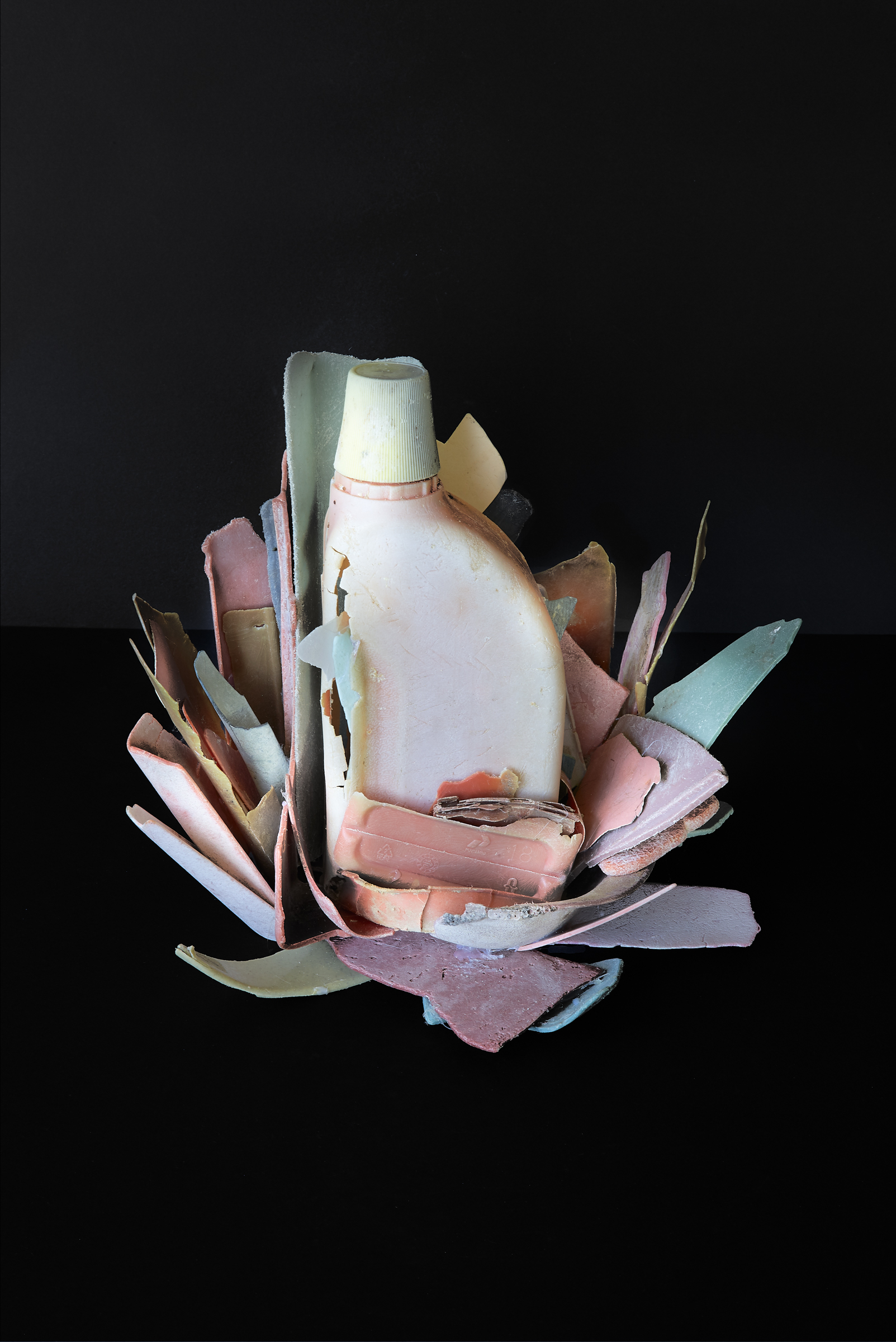 Thirza Schaap, lotus, 2019. Courtesy of the artist and Bildhalle Zürich + Amsterdam