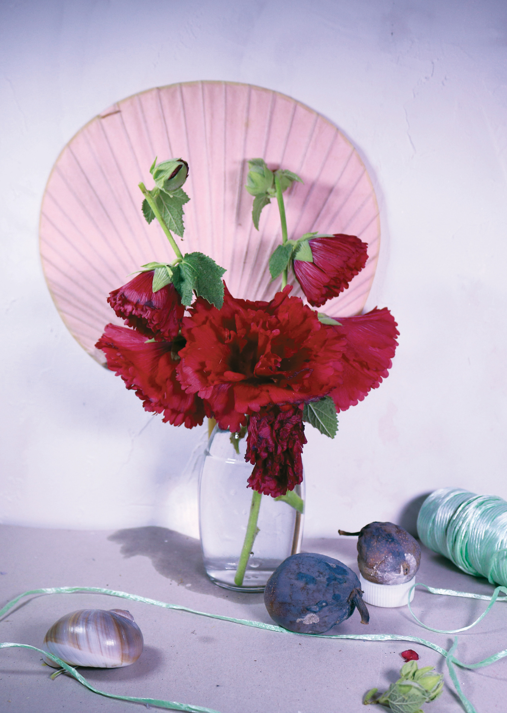     Elisabeth Belliveau, Still life Itoshima (After Ferdinand Knopf’s Roses with Japanese Fan), (lenticular print), 2020. Courtesy of the artist.

