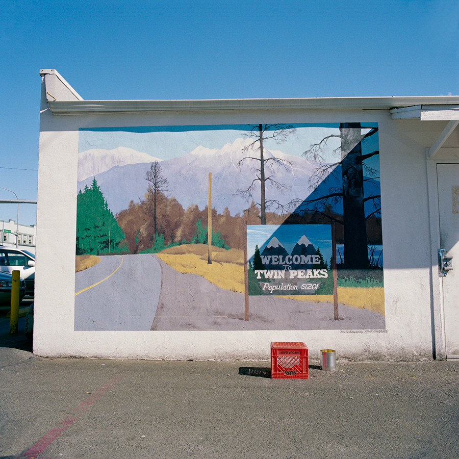     Helen Reed, Twin Twin Peaks, (video still), 2010. Courtesy of the artist.

