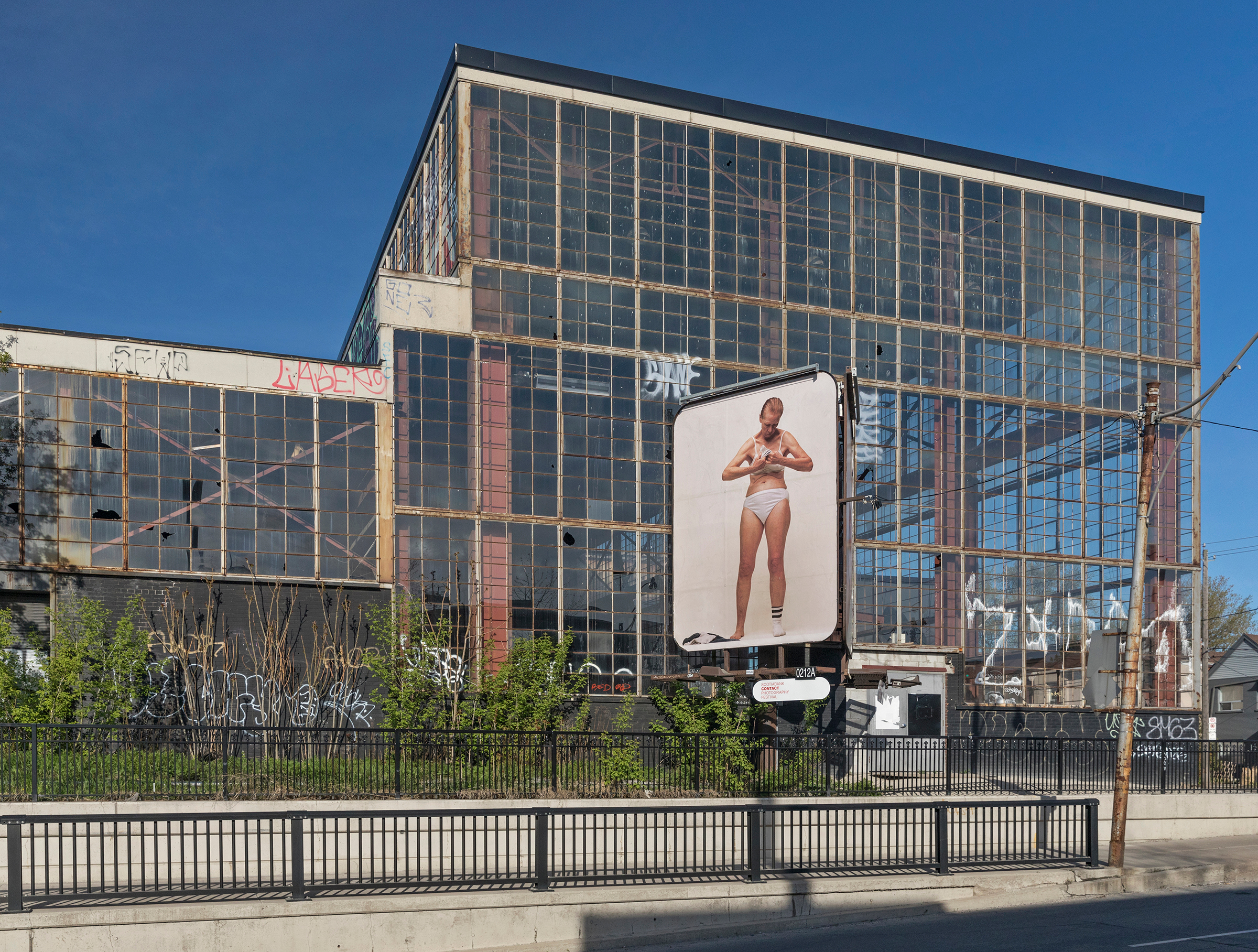     Charlie Engman, Mom, 2018. Installation on billboards at Dovercourt Rd and Dupont St, Toronto. Photo by Toni Hafkenscheid. 

