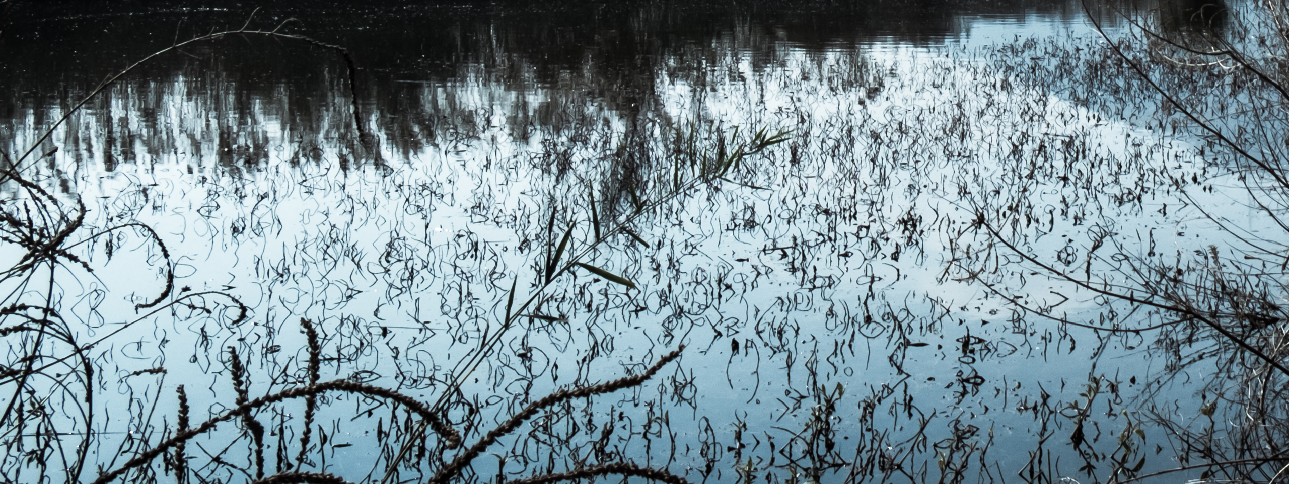     Shlomo Israeli, Lake, 2016

