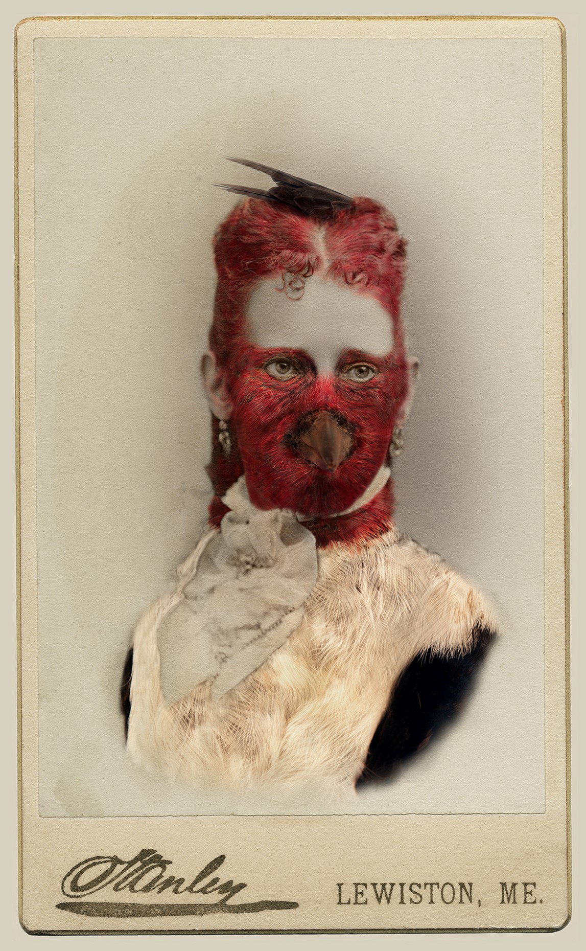     Sara Angelucci, Red-headed Woodpecker/endangered, 22” x 33.5&#8243;, Aviary Series, chromogenic prints, 2013.

