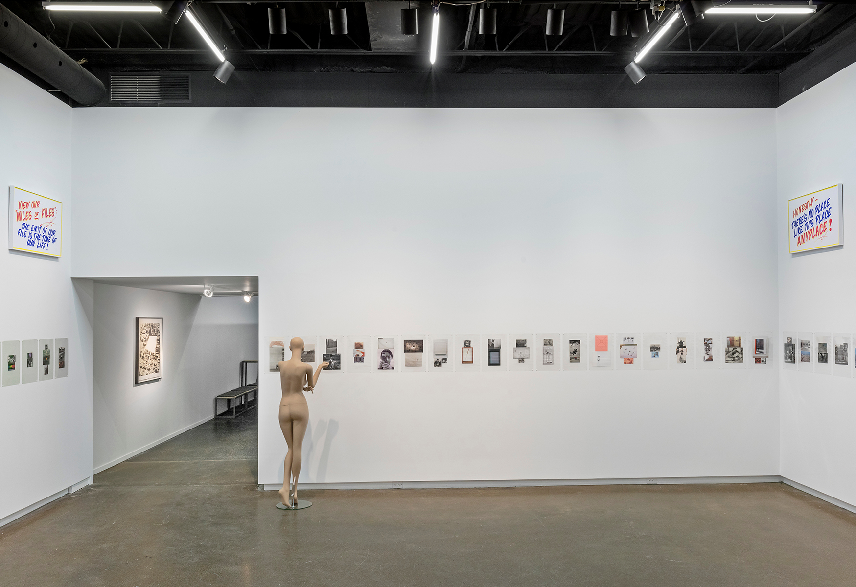     Installation view of Luis Jacob, Habitat, photo by Toni Hafkenscheid.

