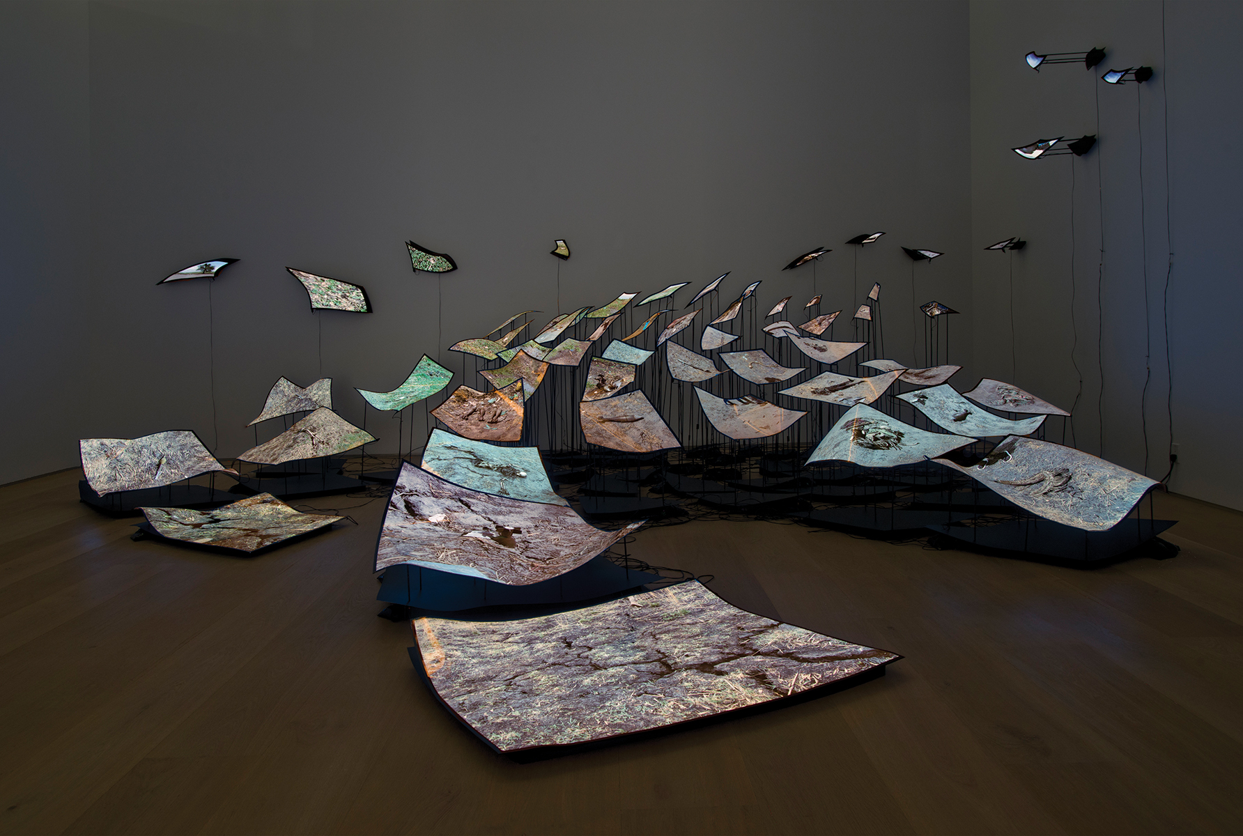     Nichola Feldman-Kiss, Installation view, Esker Foundation., 2014. 

