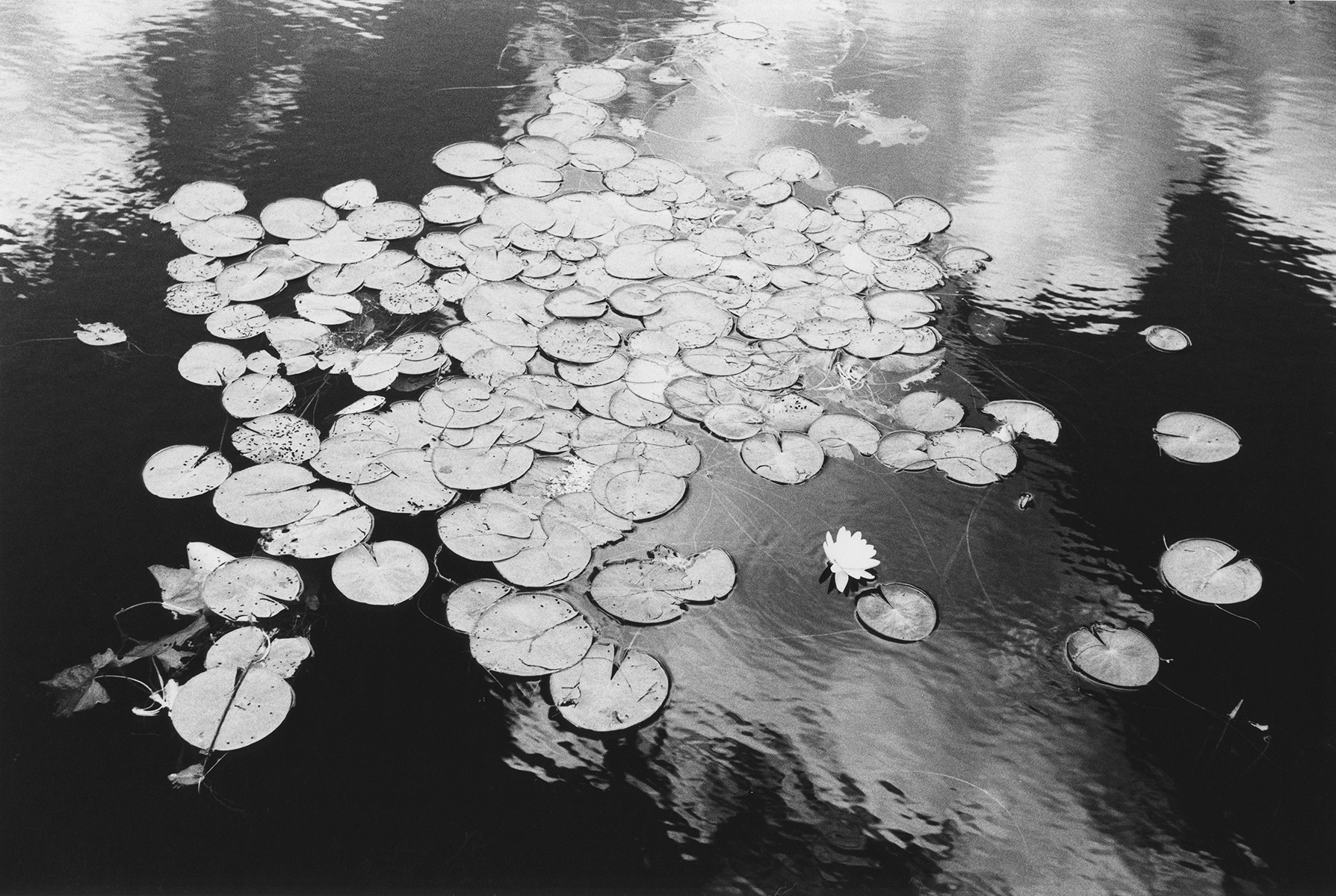     Charles Gagnon, Main, USA, 1969. Gelatin silver print, 11&#215;14&#8243;. 

