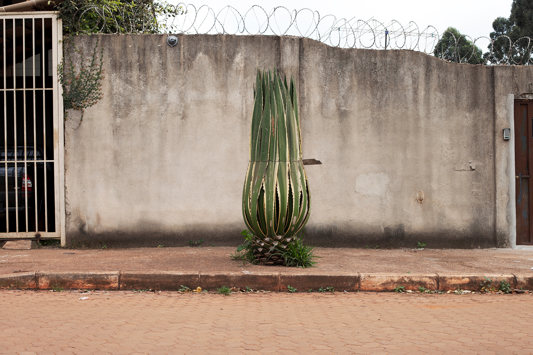     Meera Margaret Singh, Bound, 2012. Chromogenic print, 30&#215;45&#8243;. 

