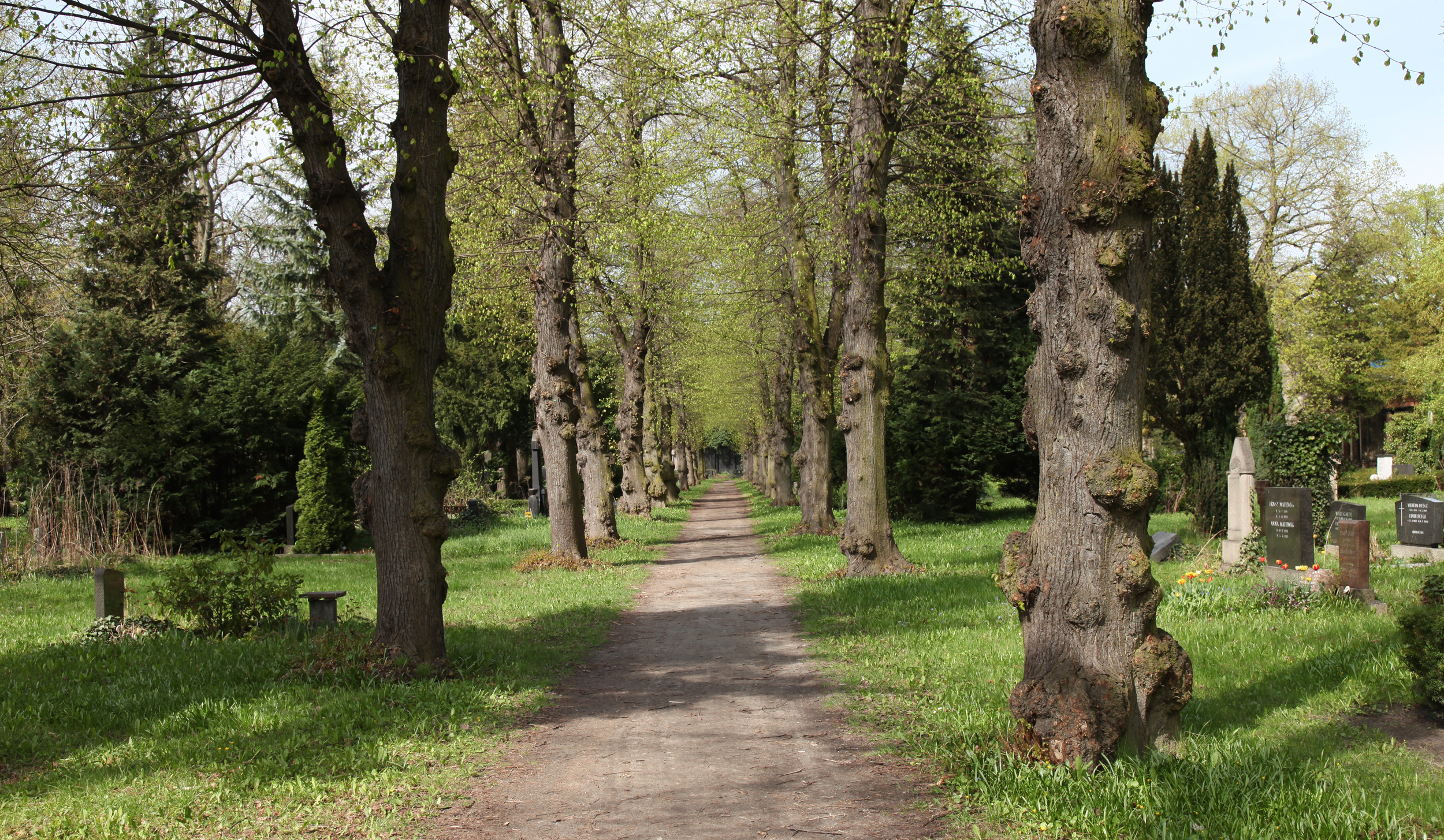     Dan Hudson, Cemetery Path (4 seasons), 2016, Looping HD video, 22&#215;34&#8243;.

