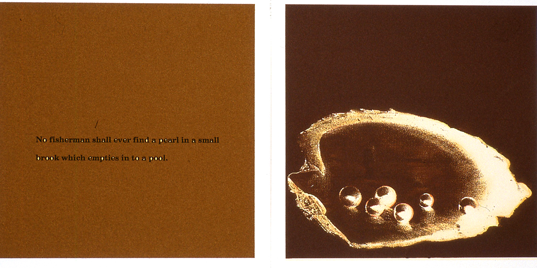     Parvaneh Radmard, B21: Conscious Mind, The shell and poetry, 2013

