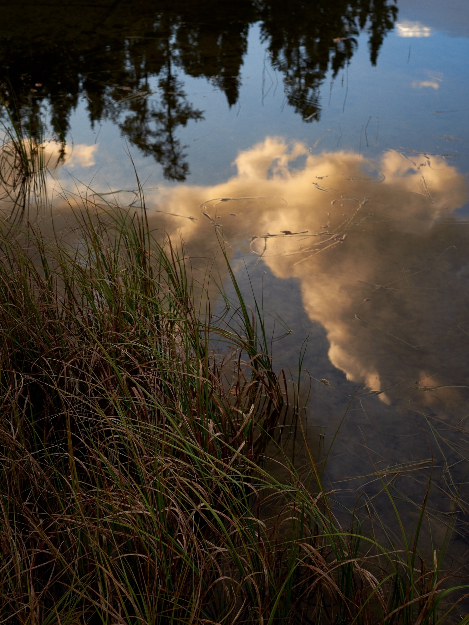     Guillaume Simoneau, Lakeside Dawn, ELA, Canada, 2015

