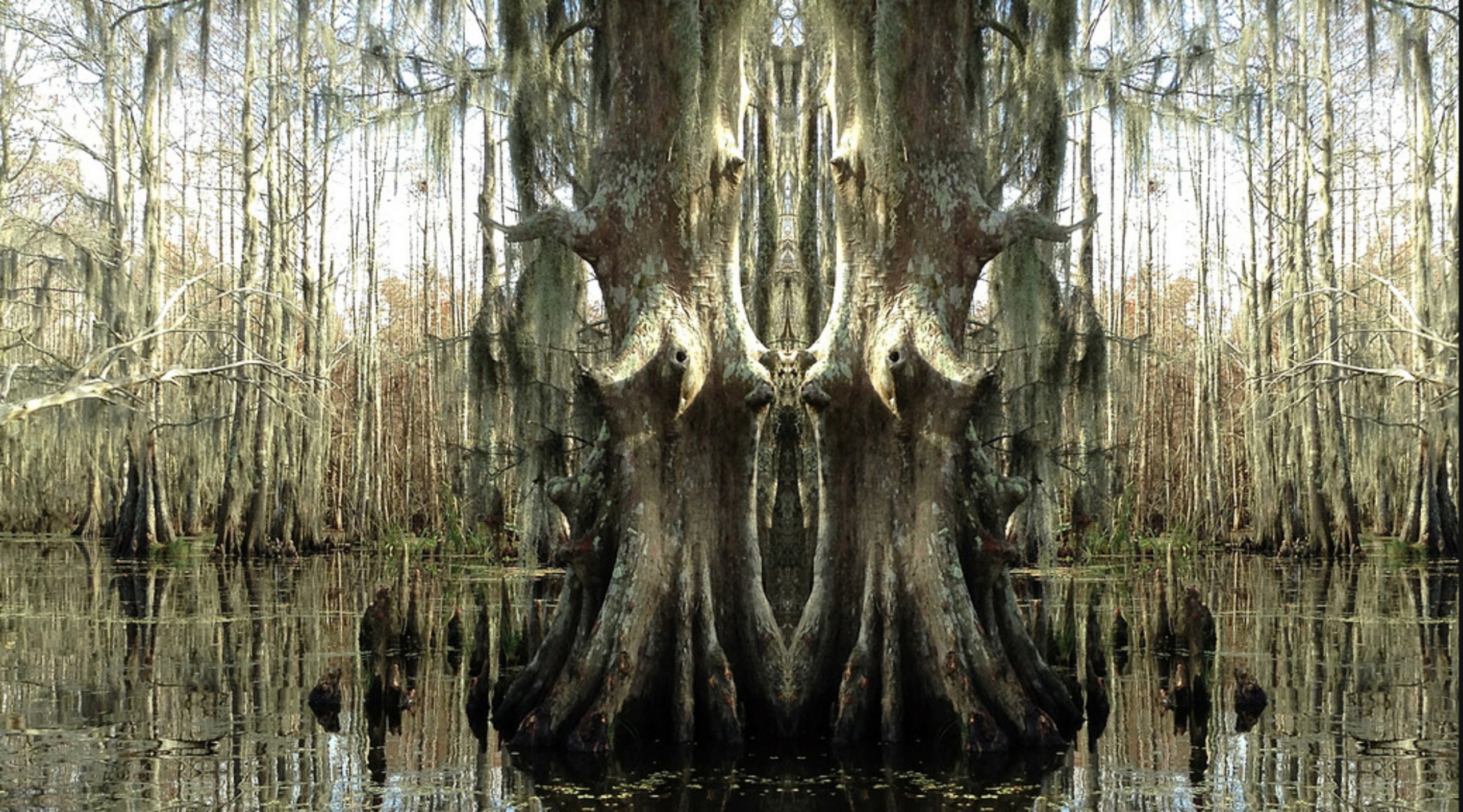     Karen Silver, Swamp, 2013

