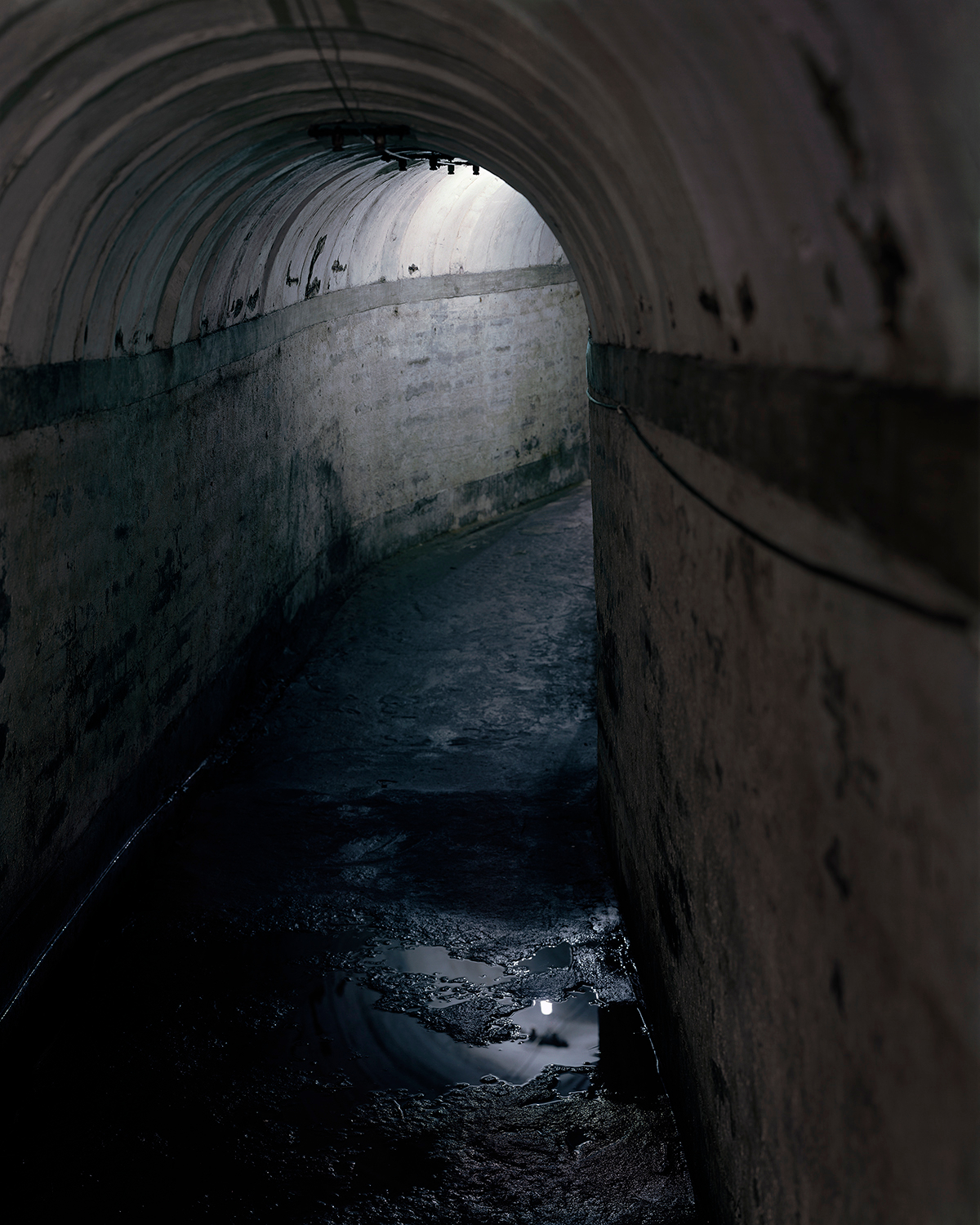     Alec Soth, Tunnel, 2004. Inkjet print on vinyl, 76 x 96&#8243;.

