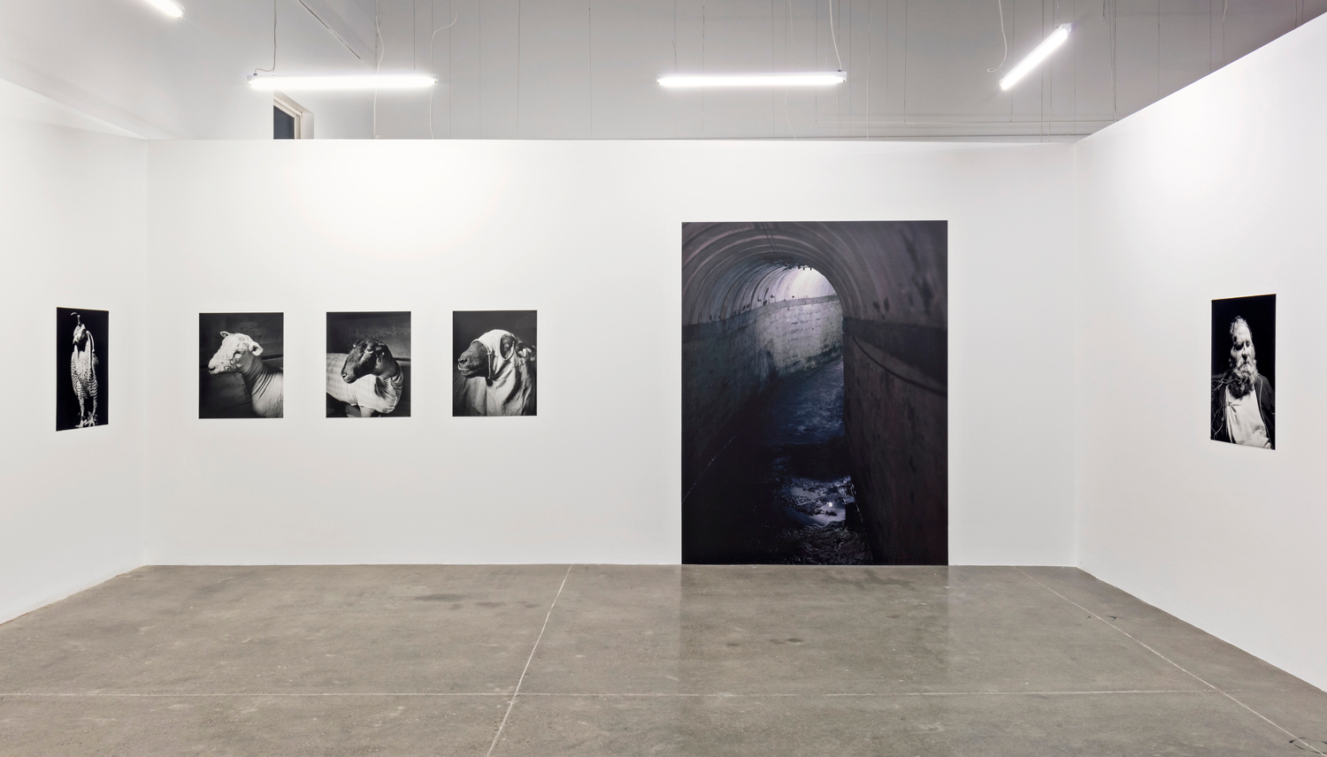     Installation view of Alec Soth, Hypnagogia, Photo: Toni Hafkenscheid

