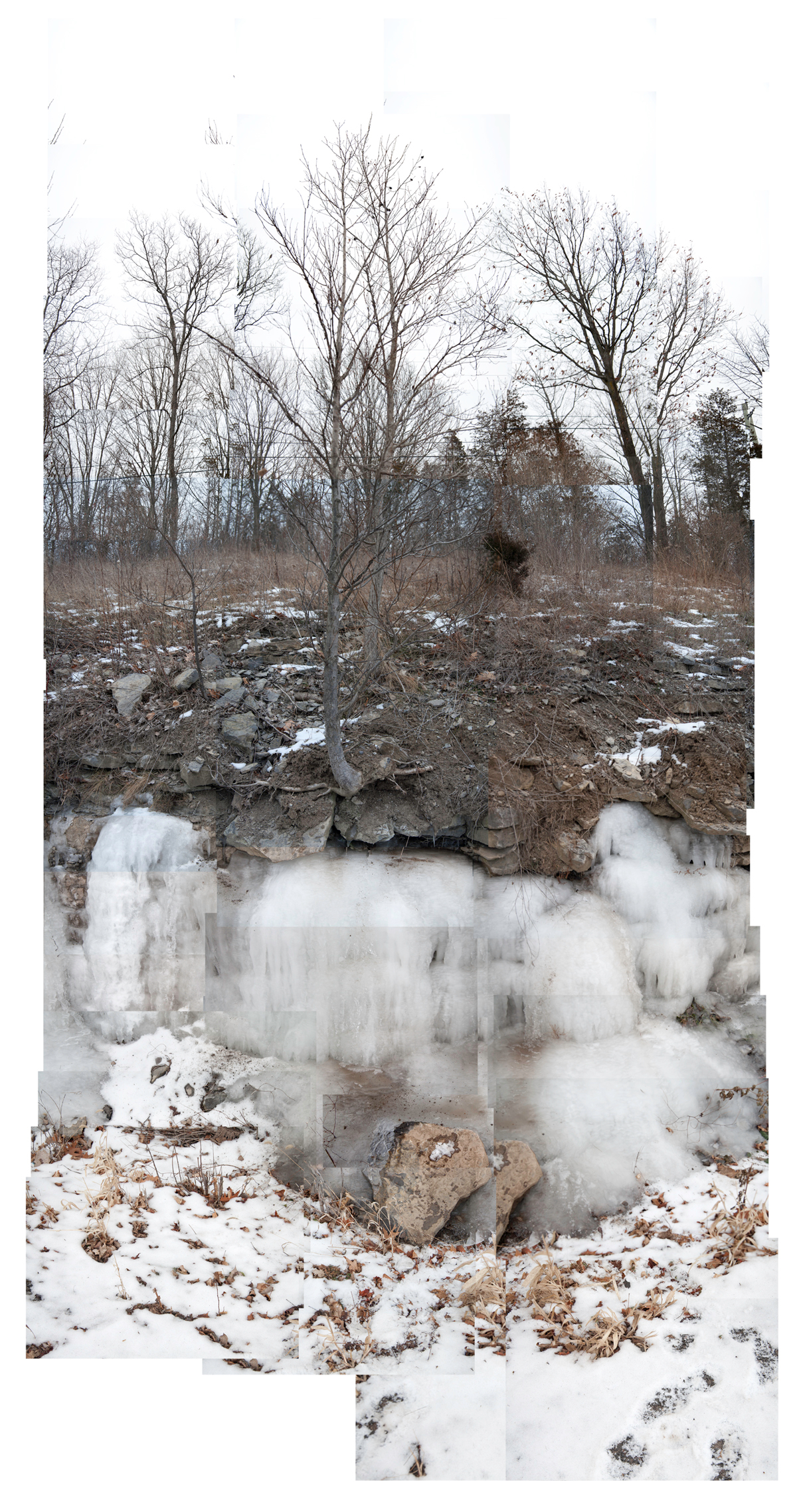     Sue Lloyd, Frozen (Picton Bay, Glenora Road No. 2), 2013. Archival pigment print, 62 x 30”.

