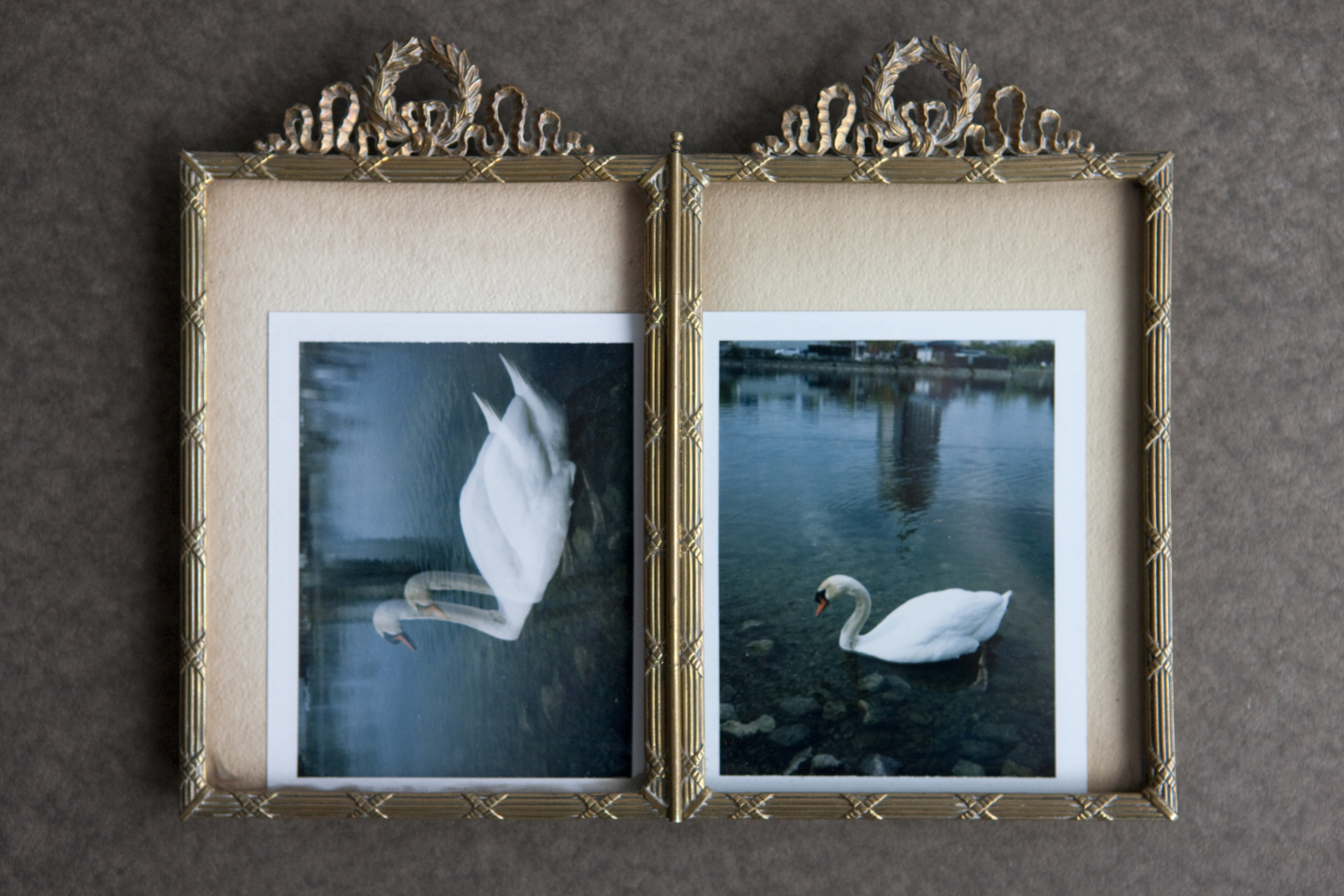     Phillipa C., Swans, 2015

