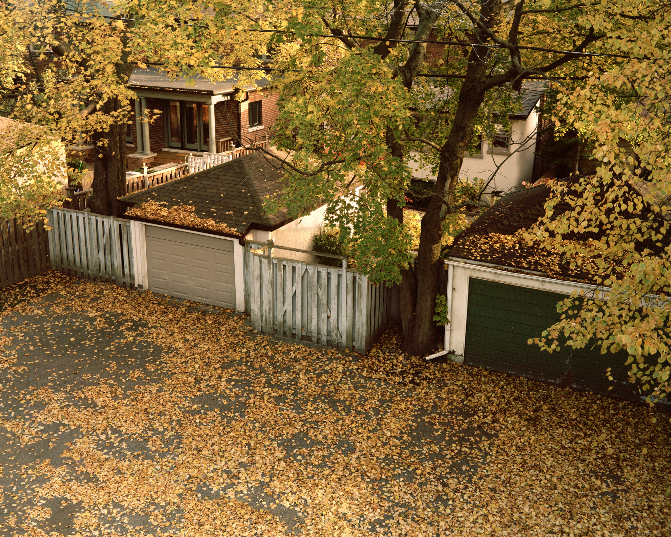     Nathan Cyprys, Summerhill Avenue, 2012

