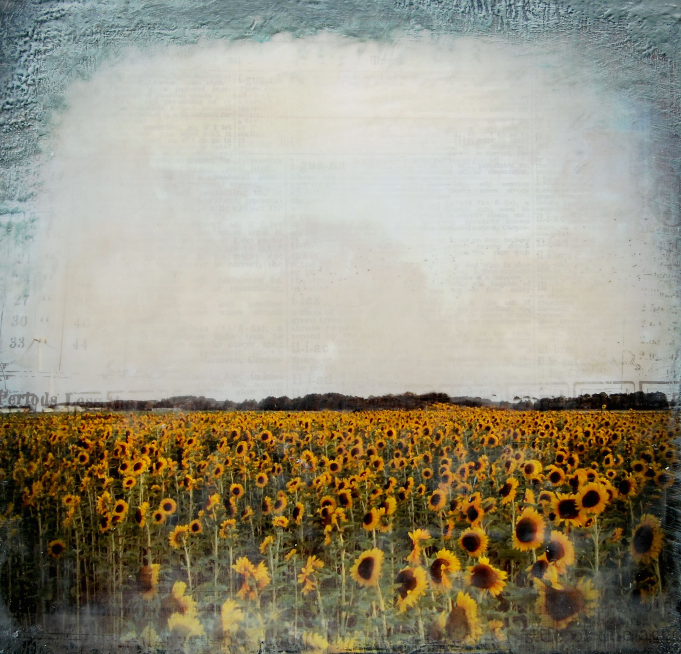     Joya Paul, Sunflowers, 2011

