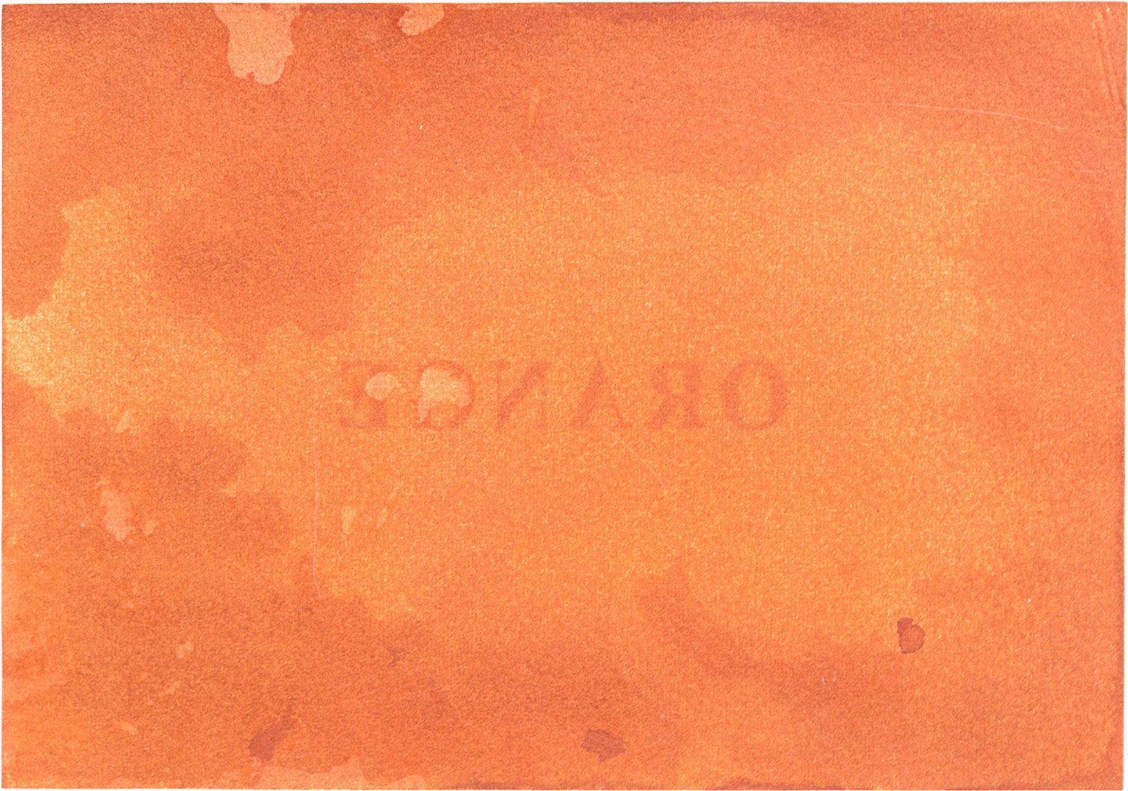     Claire Harvie, International Orange (verso), 2014 

