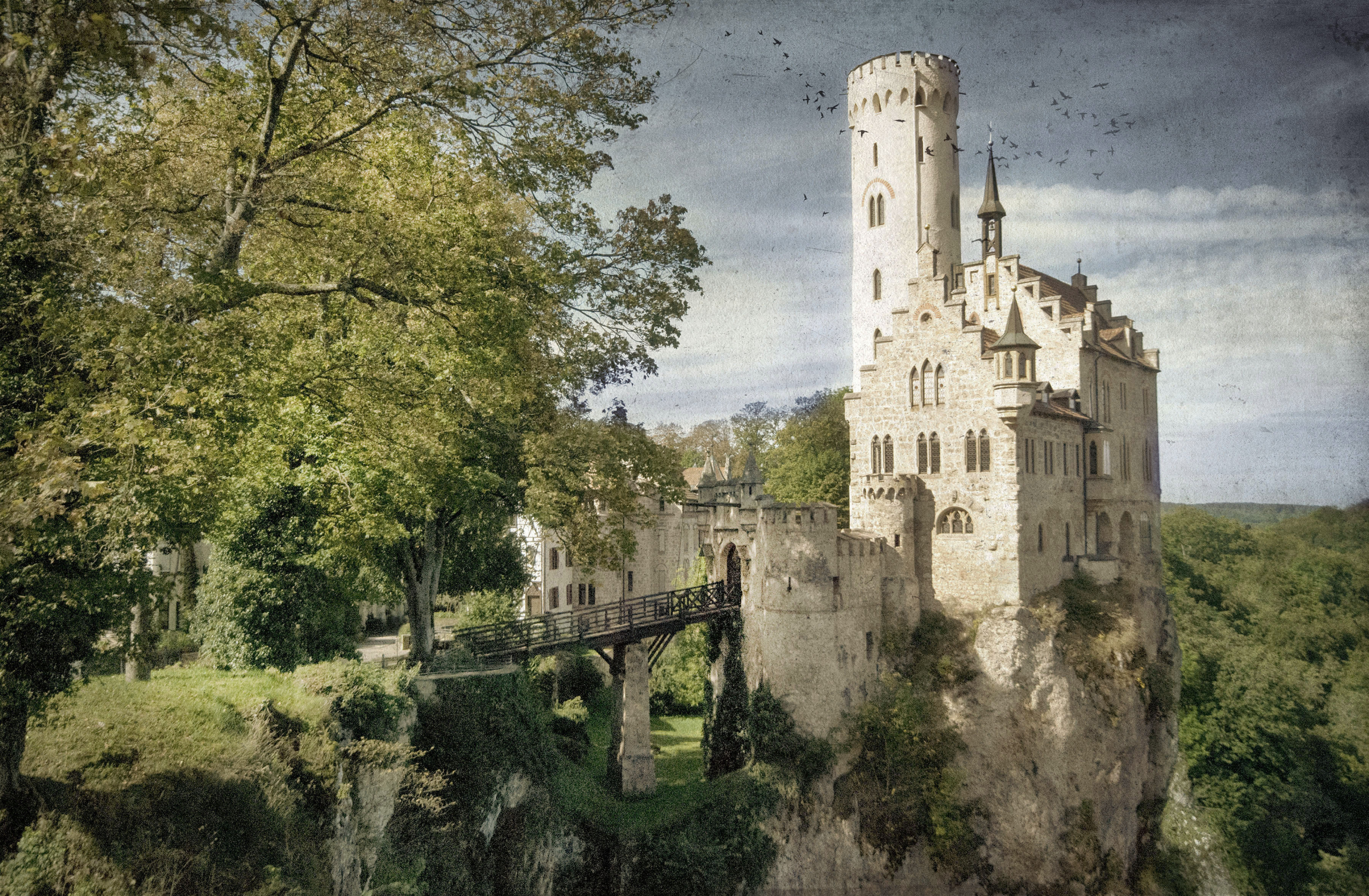     Tammy Hoy, Lichtenstein Castle, 2014 

