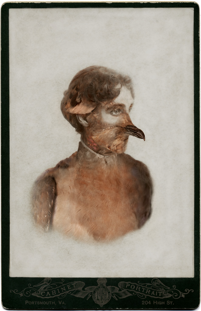     Sara Angelucci, Aviary (Female Passenger Pigeon/extinct), 2013 

