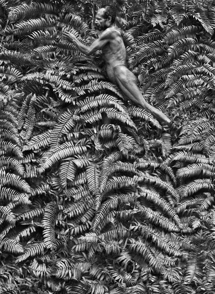     Sebasti&#227;o Salgado, Yali men spend most of their time hunting in the forest where they also collect insects, fruit and vegetables,  West Papua, Indonesia, 2010 &amp;#169 Sebasti&#227;o Salgado / Amazonas images

