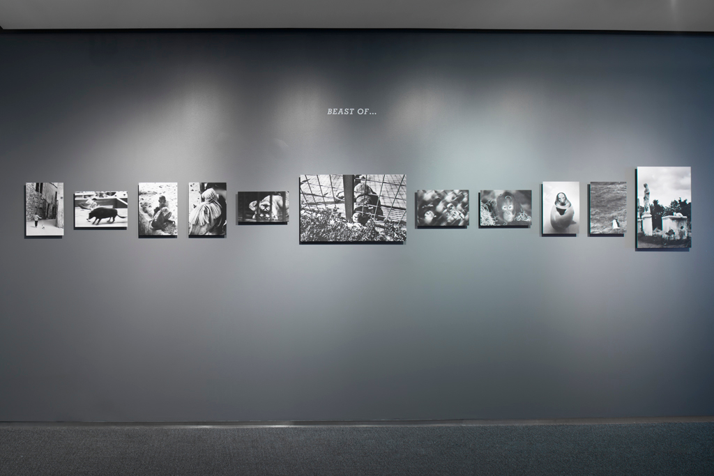     Installation view, Chris Marker: Memory of a Certain Time,  &#169; Toni Hafkenscheid

