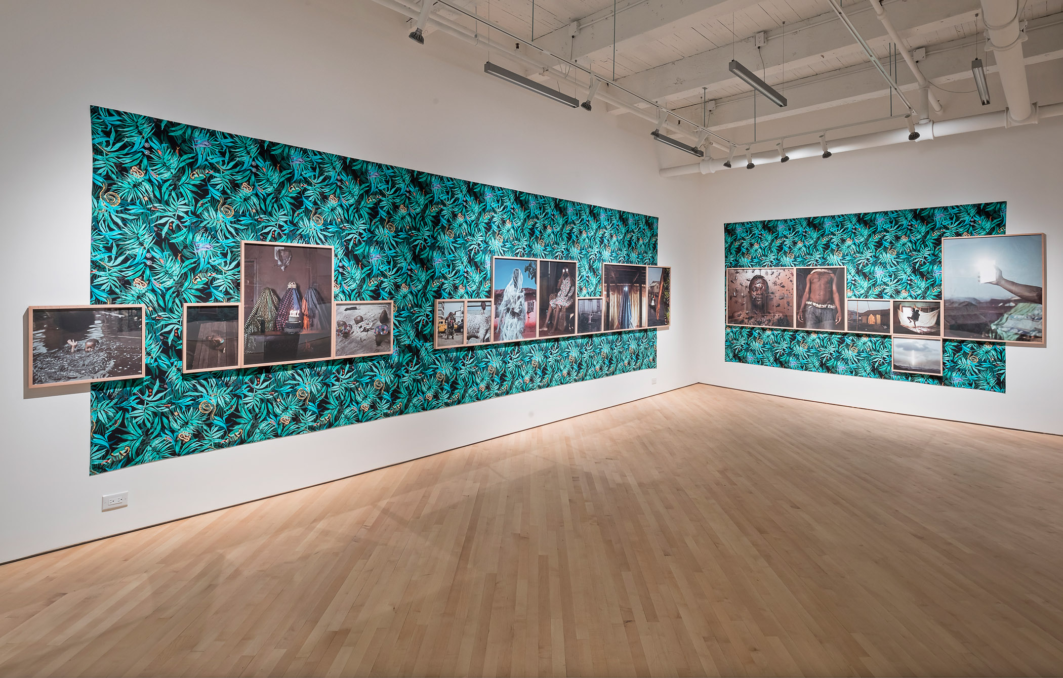     Installation view of Cristina de Middel, This is What Hatred Did, 2015

