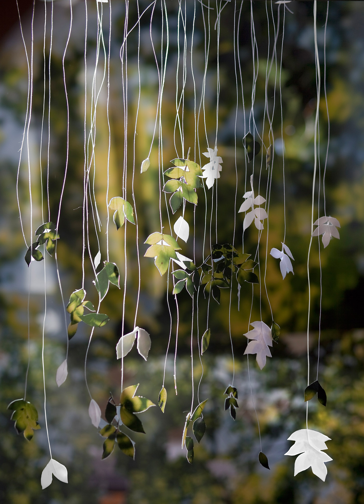    Becky Comber, Loose Leaves, from the series Broken Horizons, 2014 

