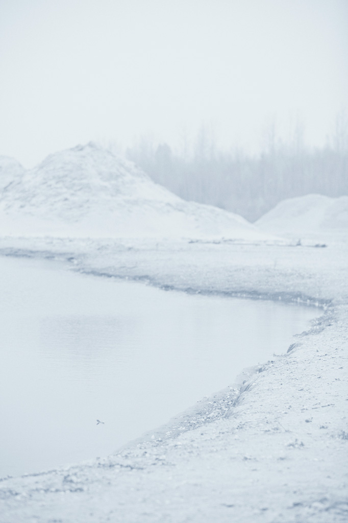     Maude Arsenault, La Fin des Etoiles, 2014 

