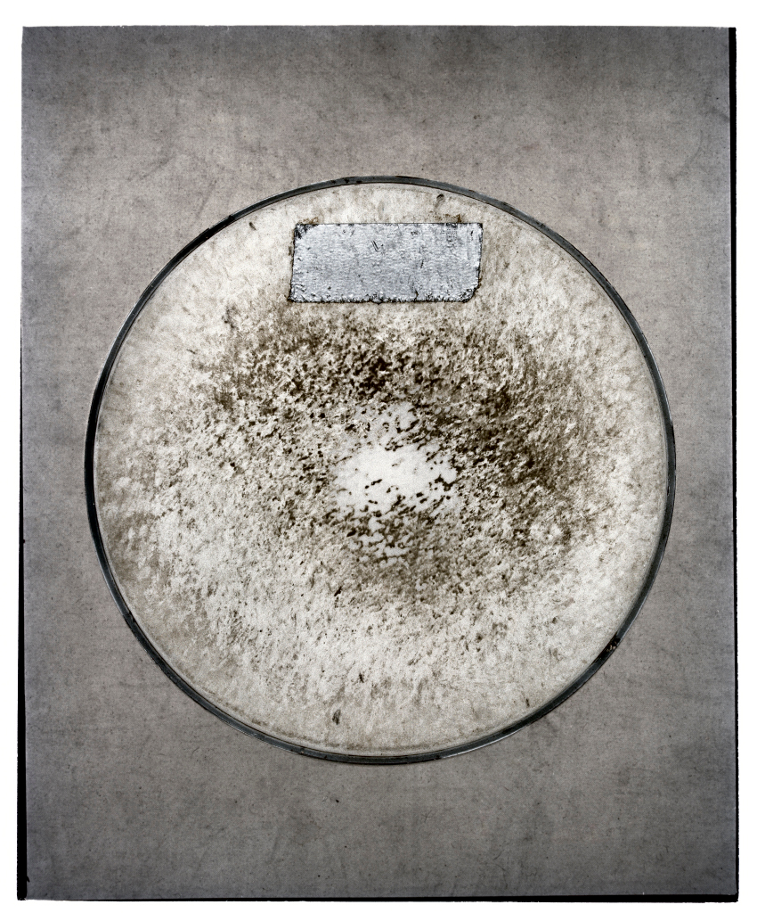     Jamie Kronick, Drum Skin V, 2011 

