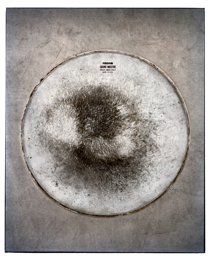     Jamie Kronick, Drum Skin VI, 2011 

