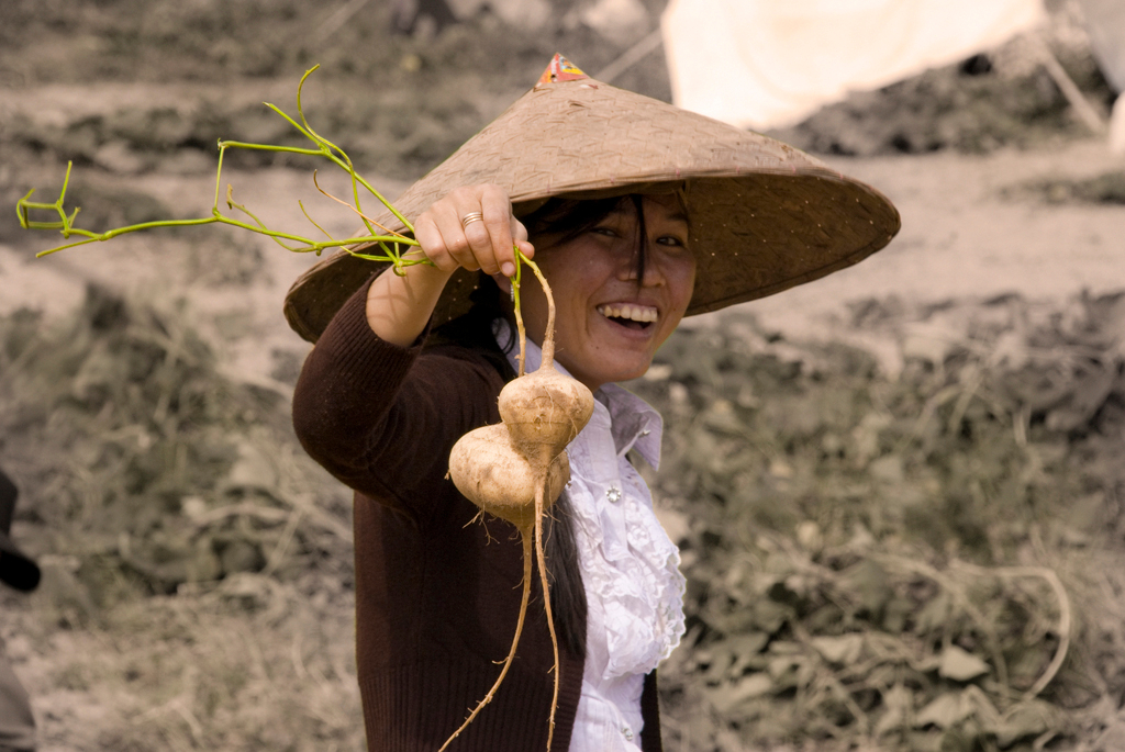     J.P. Gural, Pulled by the Roots in Laos, 2012 

