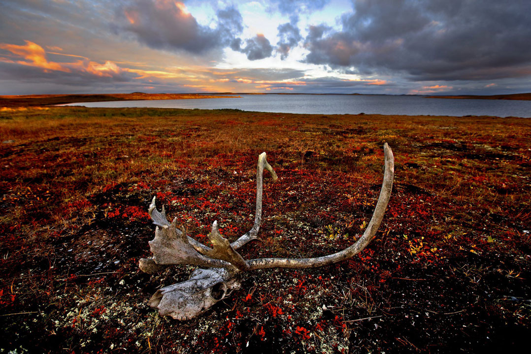     Chris Monette, Lake Meliadine, Nunavut, 2011 

