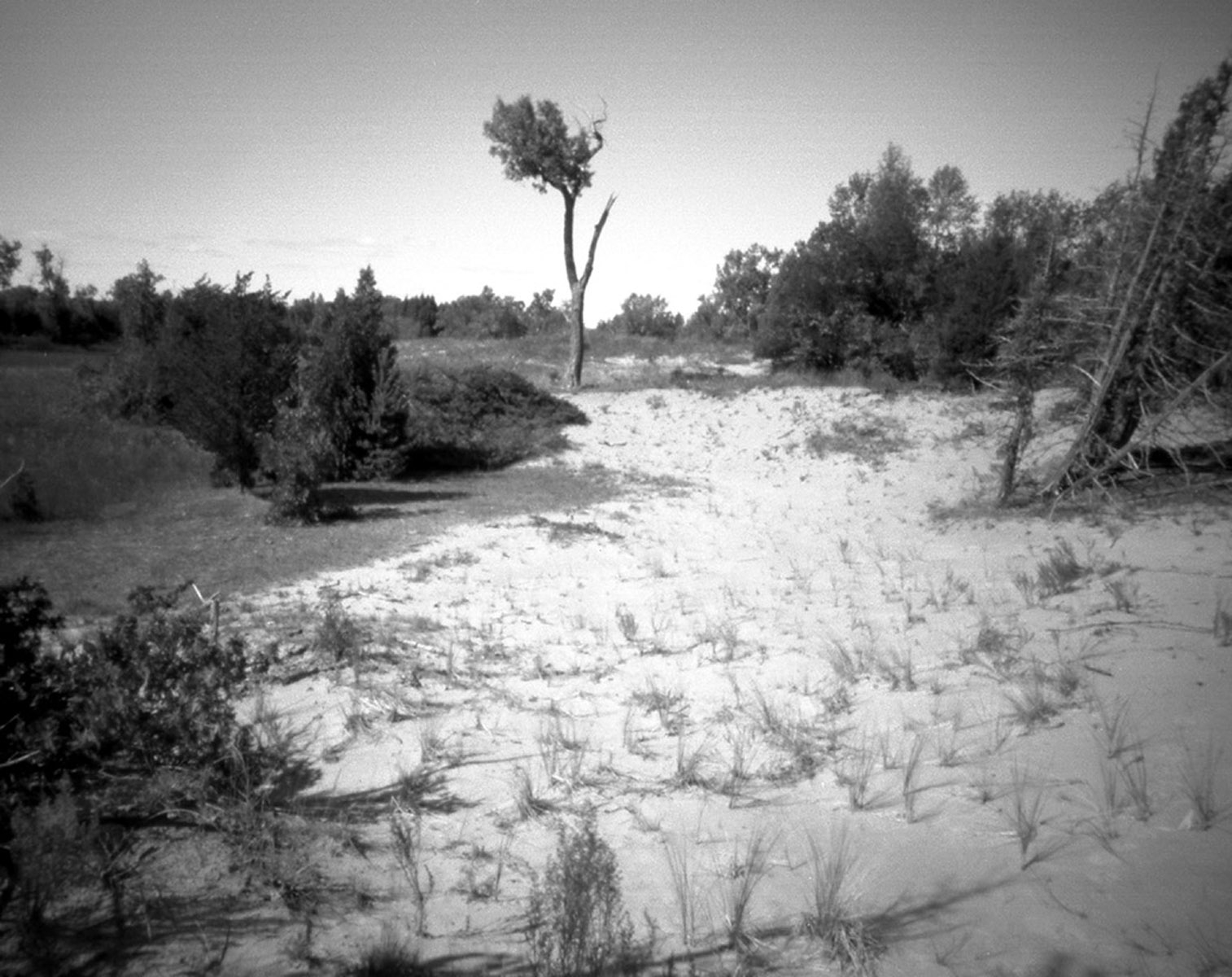     Brian Anderson , On the Dune
