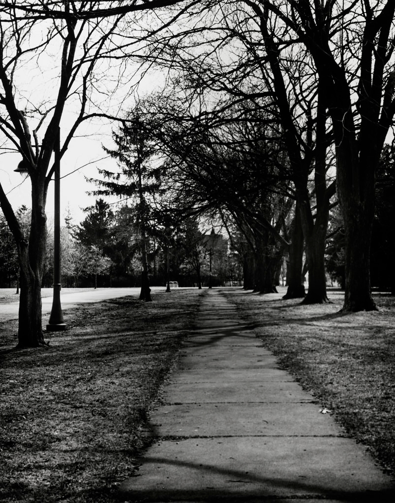     Dale M Reid, Pathway to Cumberland House, Toronto, 2009 

