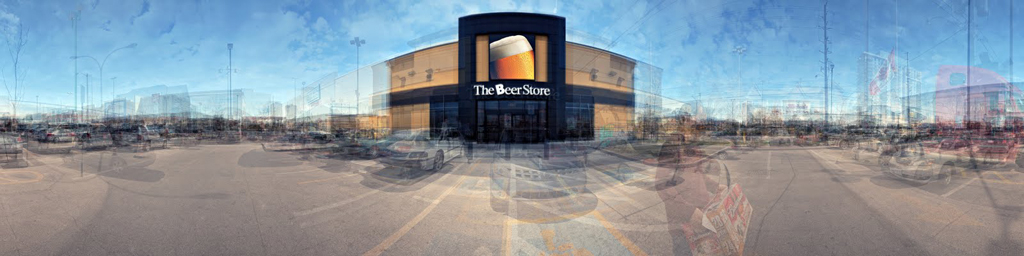     Tori Foster and Jesse Colin Jackson, Nine Beer Stores, Southern Ontario, 2010 

