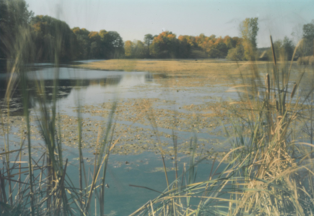     Edie Steiner, Black River, 2009 

