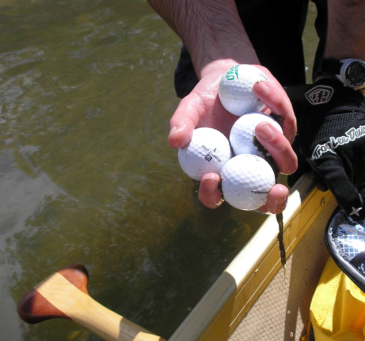     Michael Brown, Fetching Golf Balls from Black Creek, 2008, Photograph

