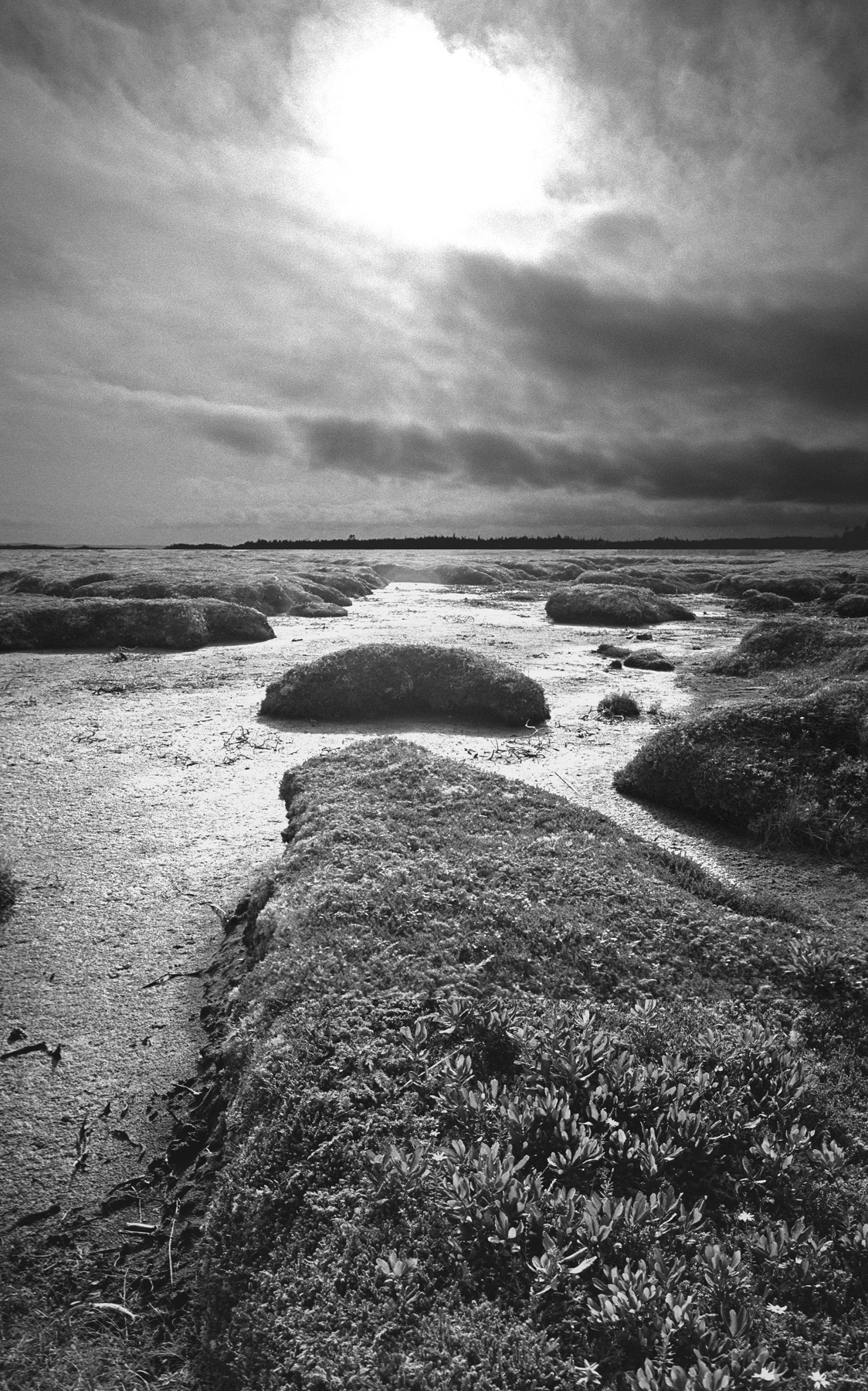     Dave Fisher., Plaine et Marais, 2006, Silver gelatin photomontage, 32 cm x 51 cm.

